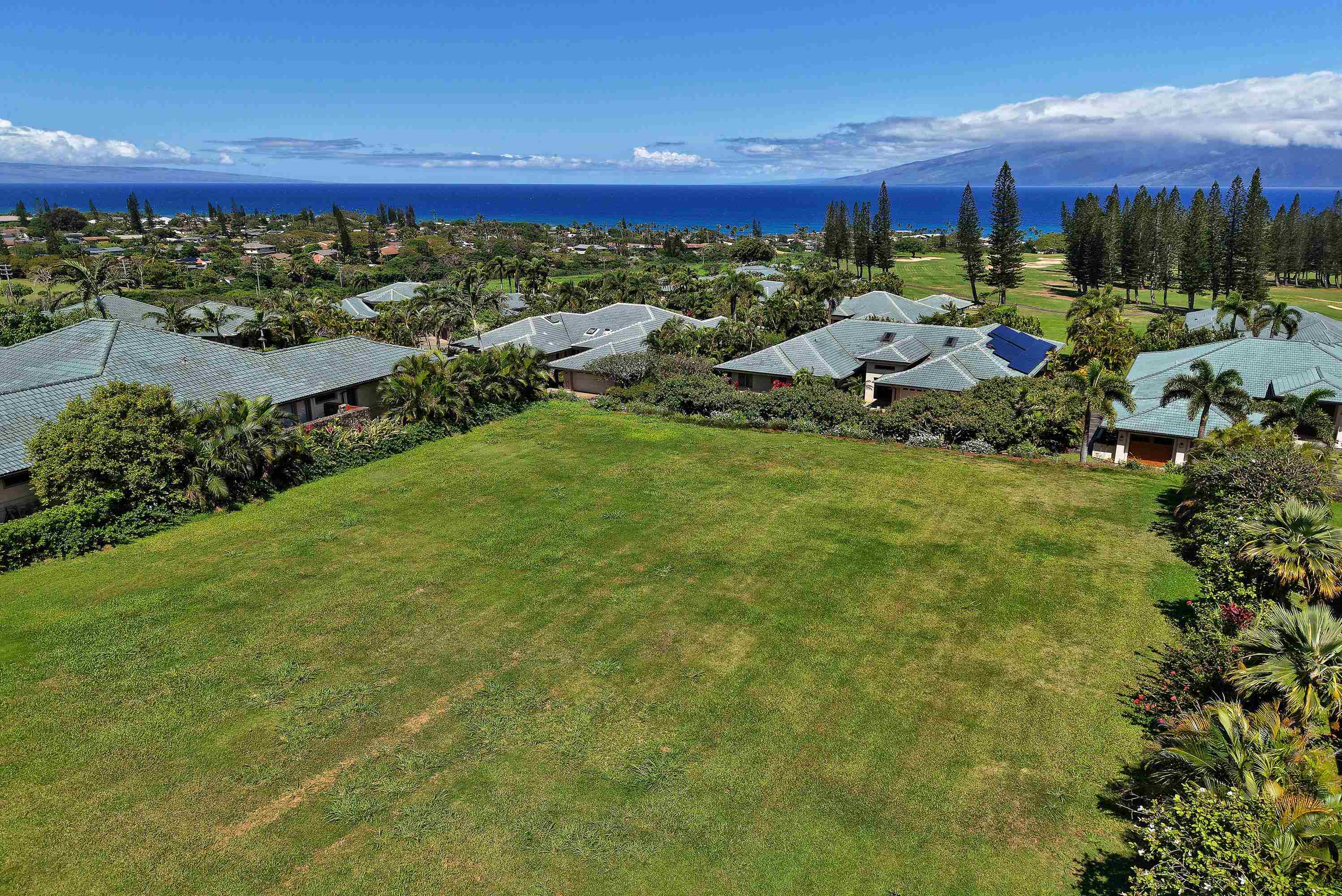 Pineapple Hill Estates — Pineapple Hill Estates, Kapalua — property photo 3 of 20