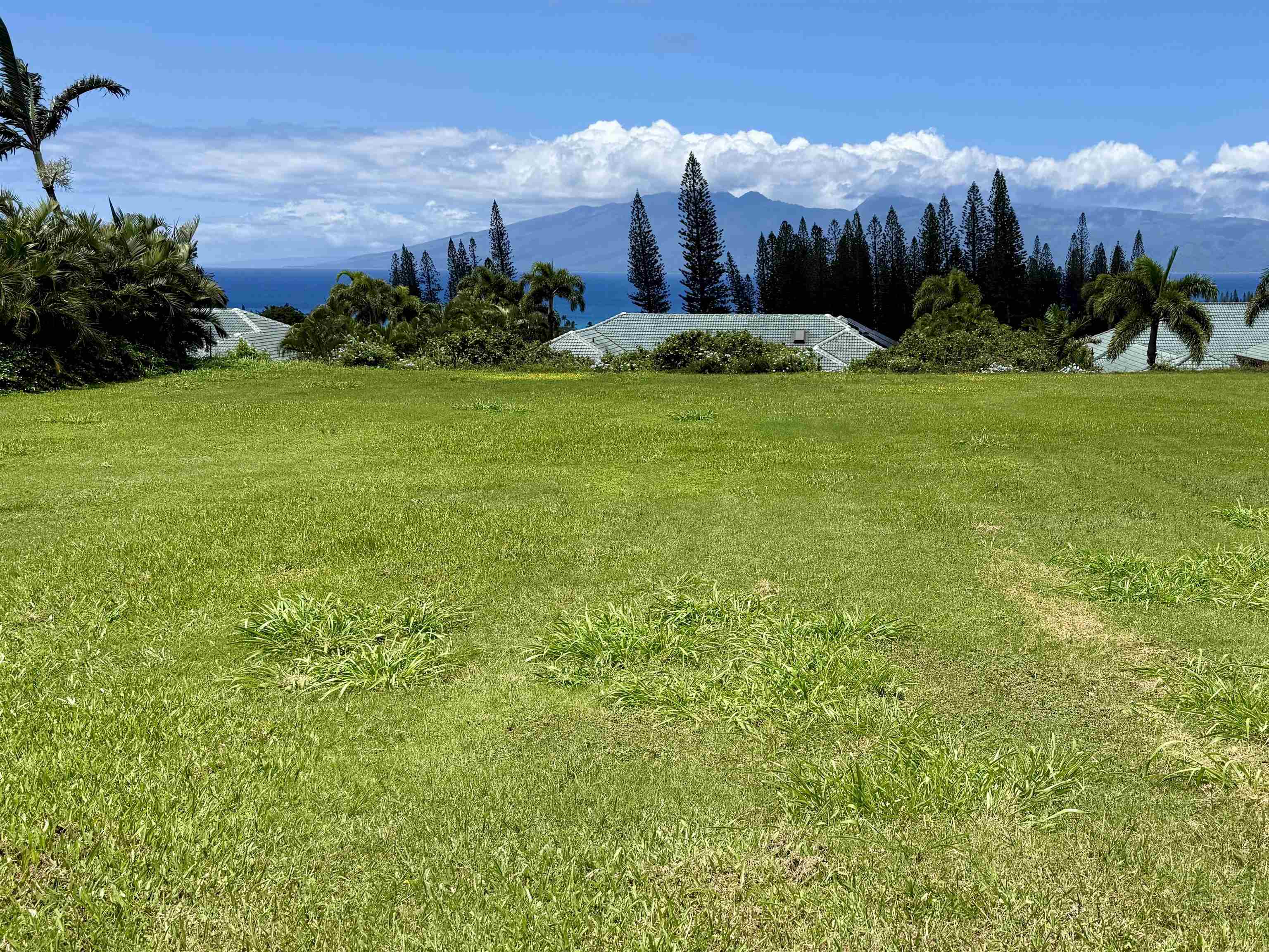 Pineapple Hill Estates — Pineapple Hill Estates, Kapalua — property photo 4 of 20