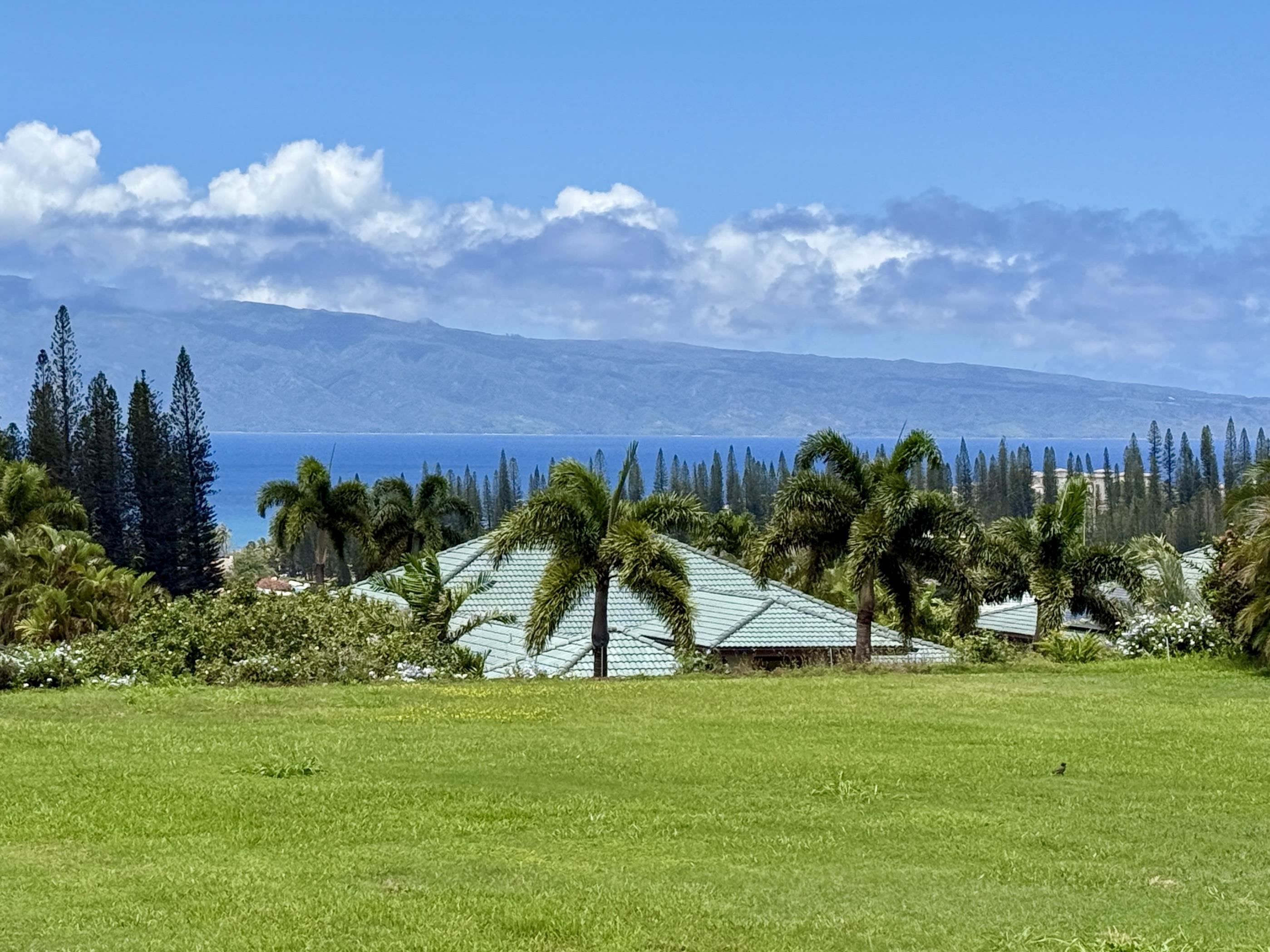 Pineapple Hill Estates — Pineapple Hill Estates, Kapalua — property photo 5 of 20