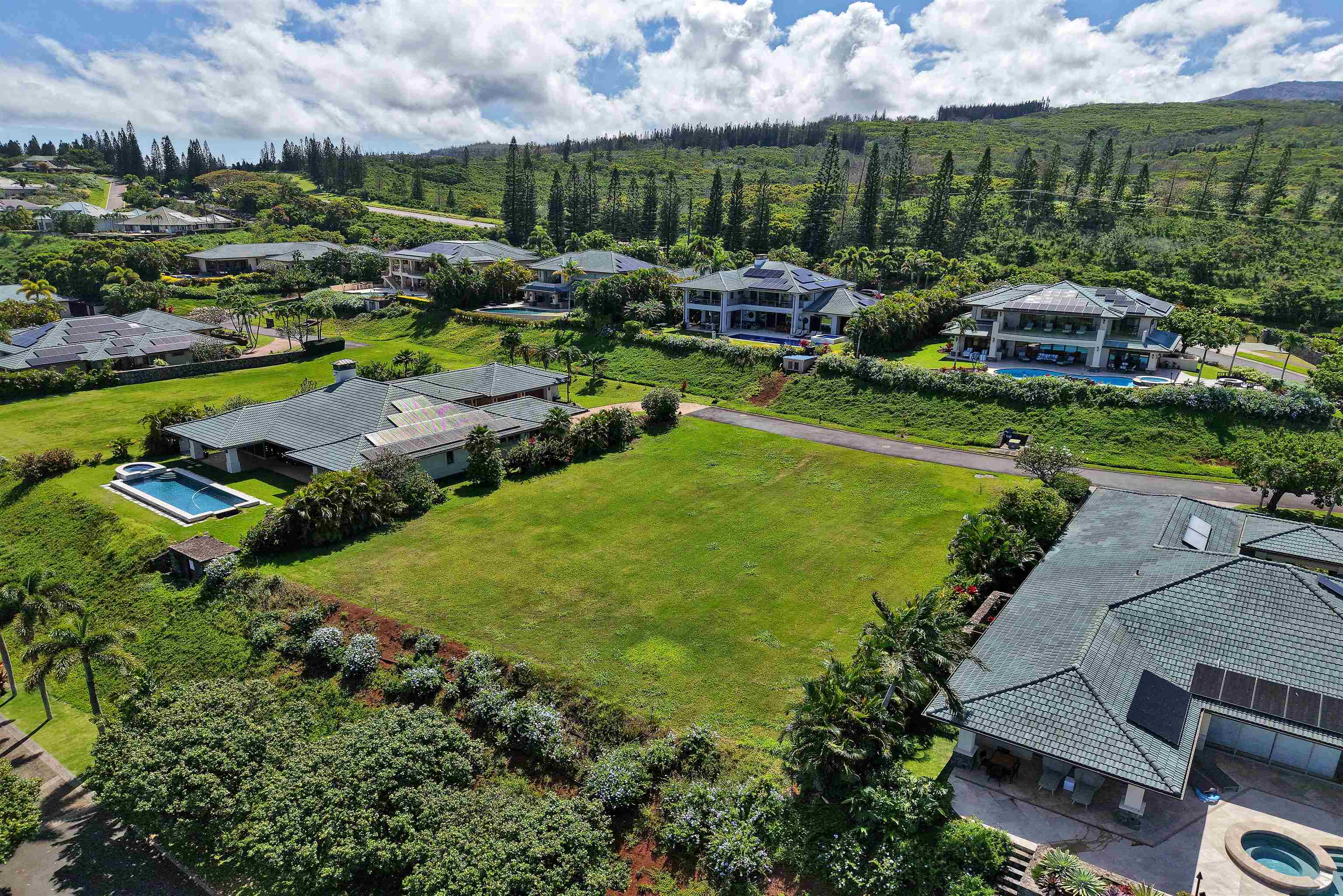 Pineapple Hill Estates — Pineapple Hill Estates, Kapalua — property photo 10 of 20