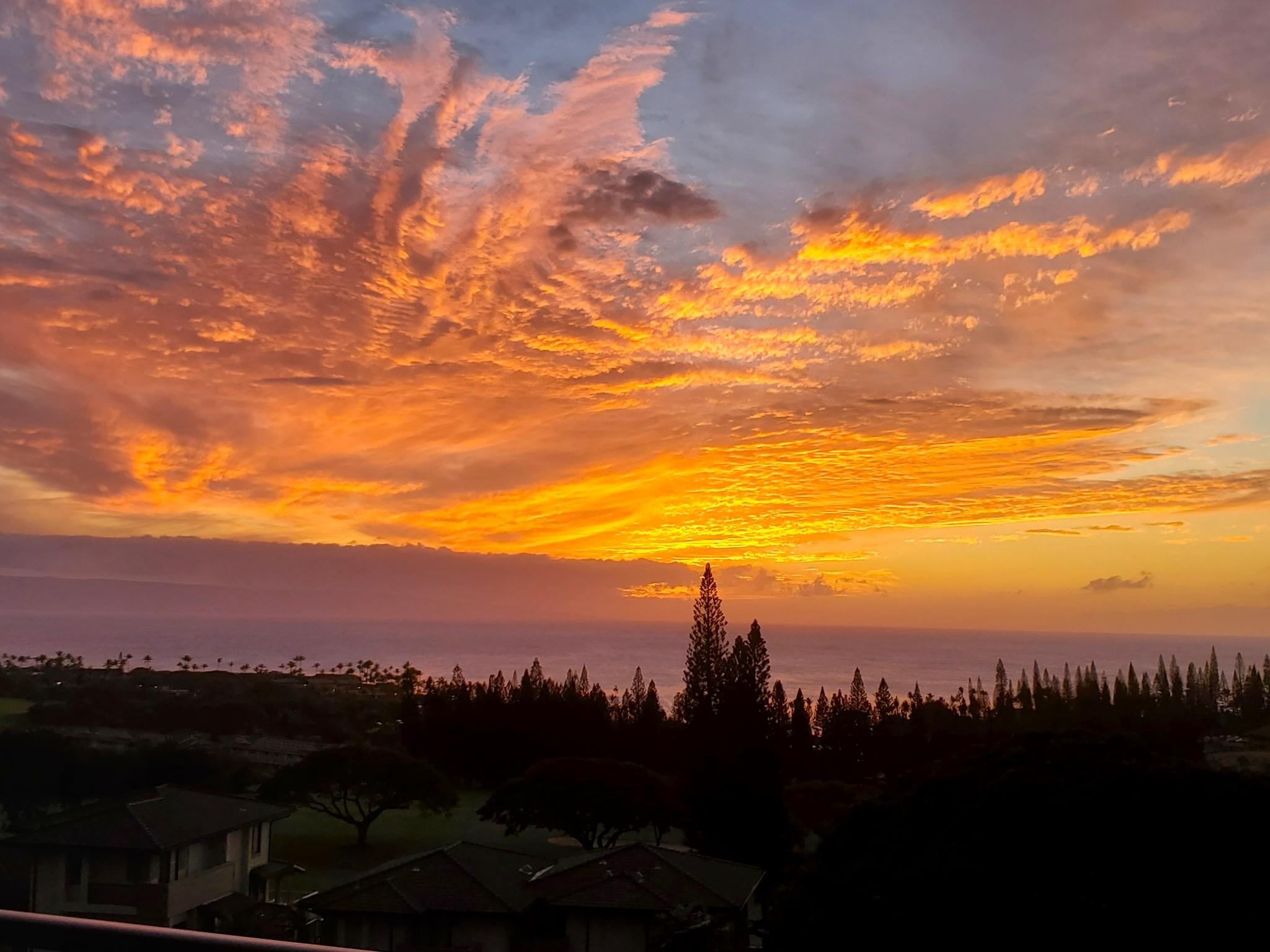 Kapalua Golf Villas — Kapalua Golf Villas, Kapalua — property photo 41 of 50