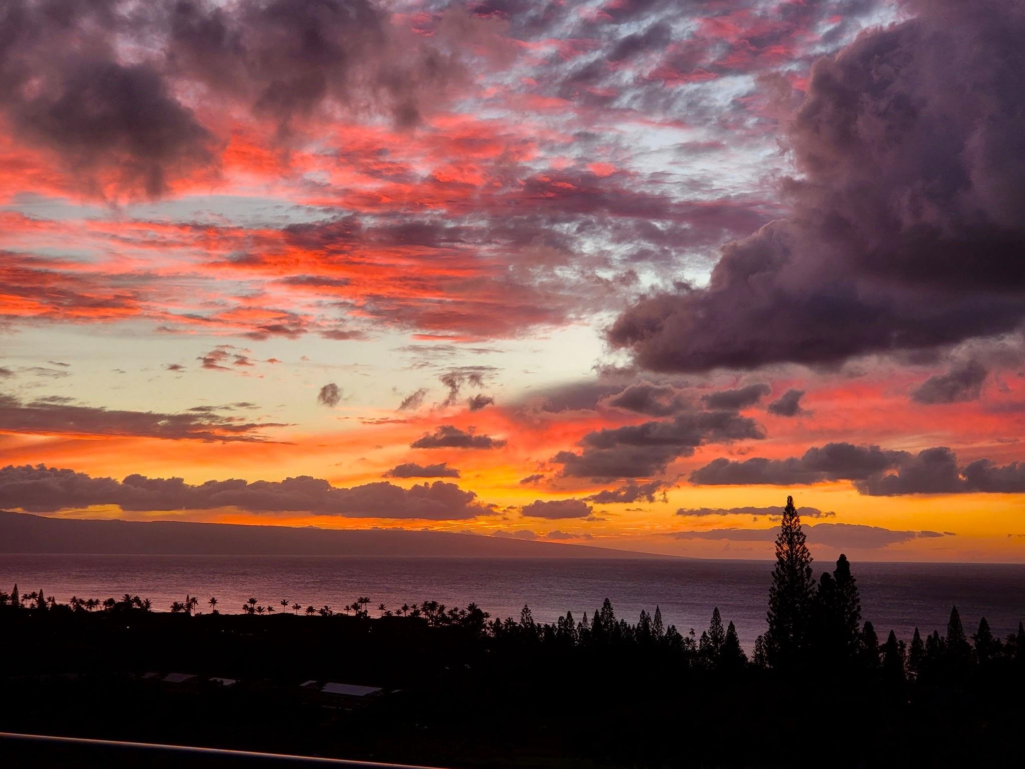 Kapalua Golf Villas — Kapalua Golf Villas, Kapalua — property photo 42 of 50