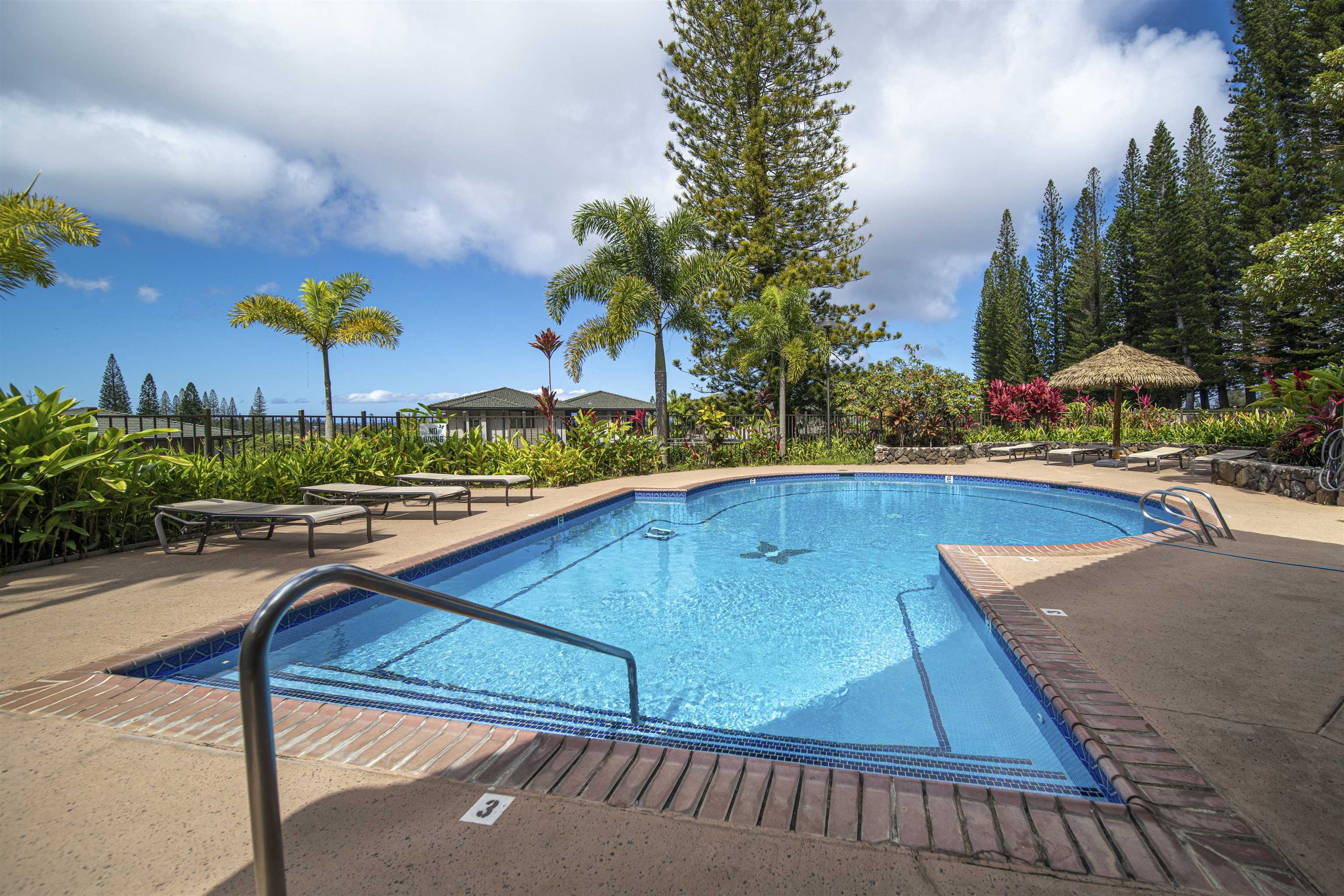 Kapalua Golf Villas — Kapalua Golf Villas, Kapalua — property photo 46 of 50