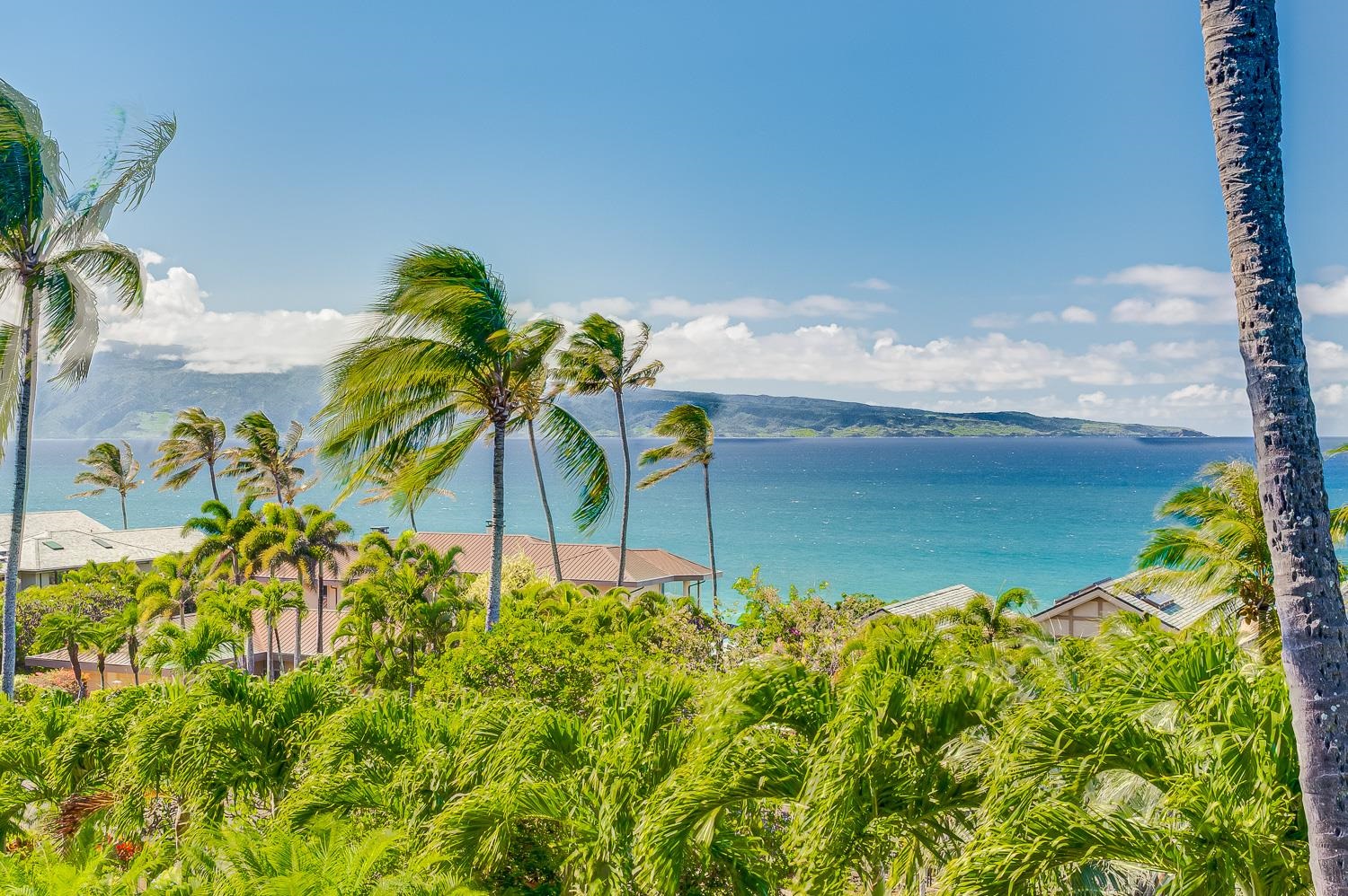 8 Kapalua — Kapalua, Kapalua — property photo 41 of 50