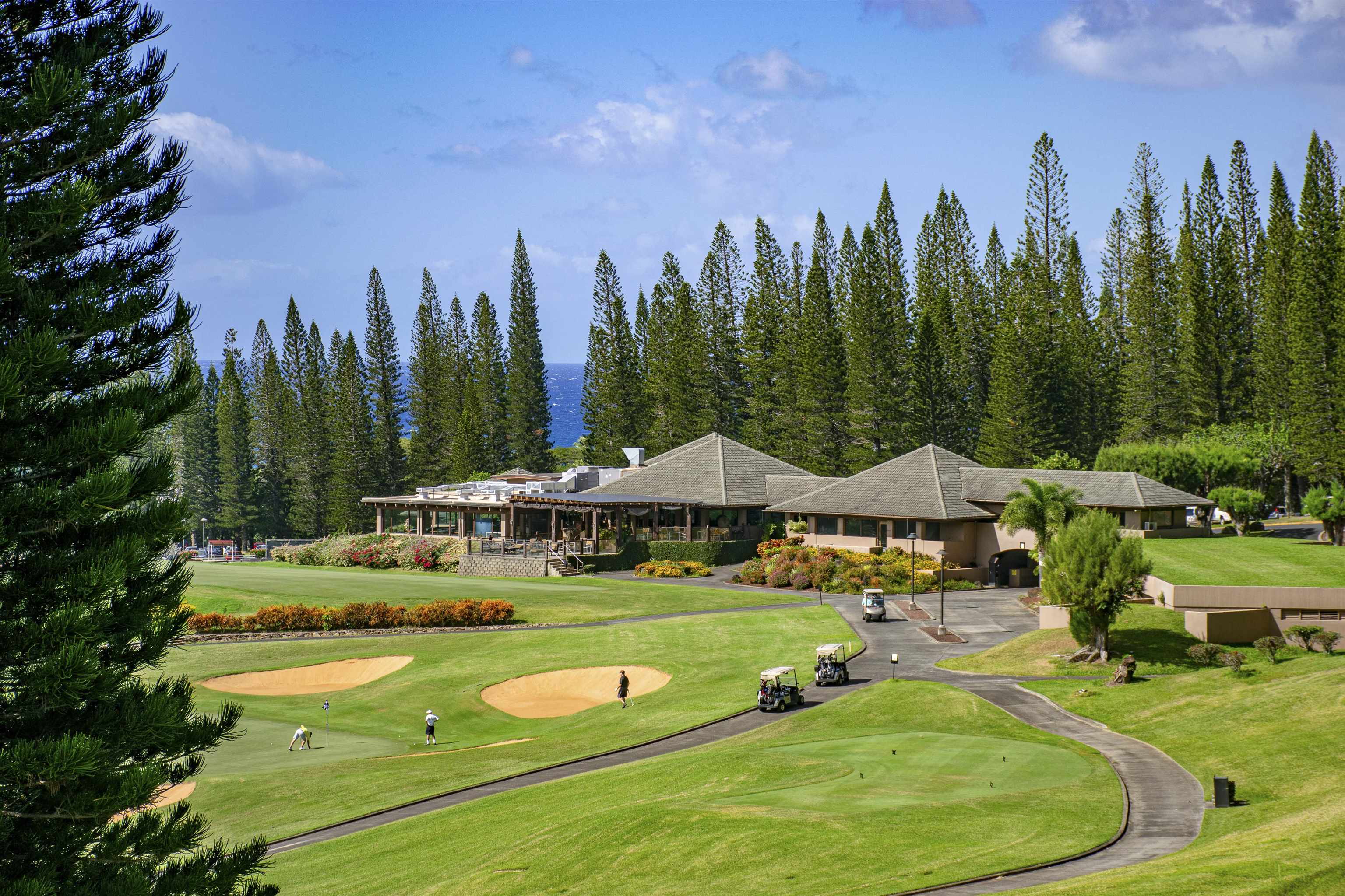 Kapalua Golf Villas — Kapalua Golf Villas, Kapalua — property photo 41 of 45