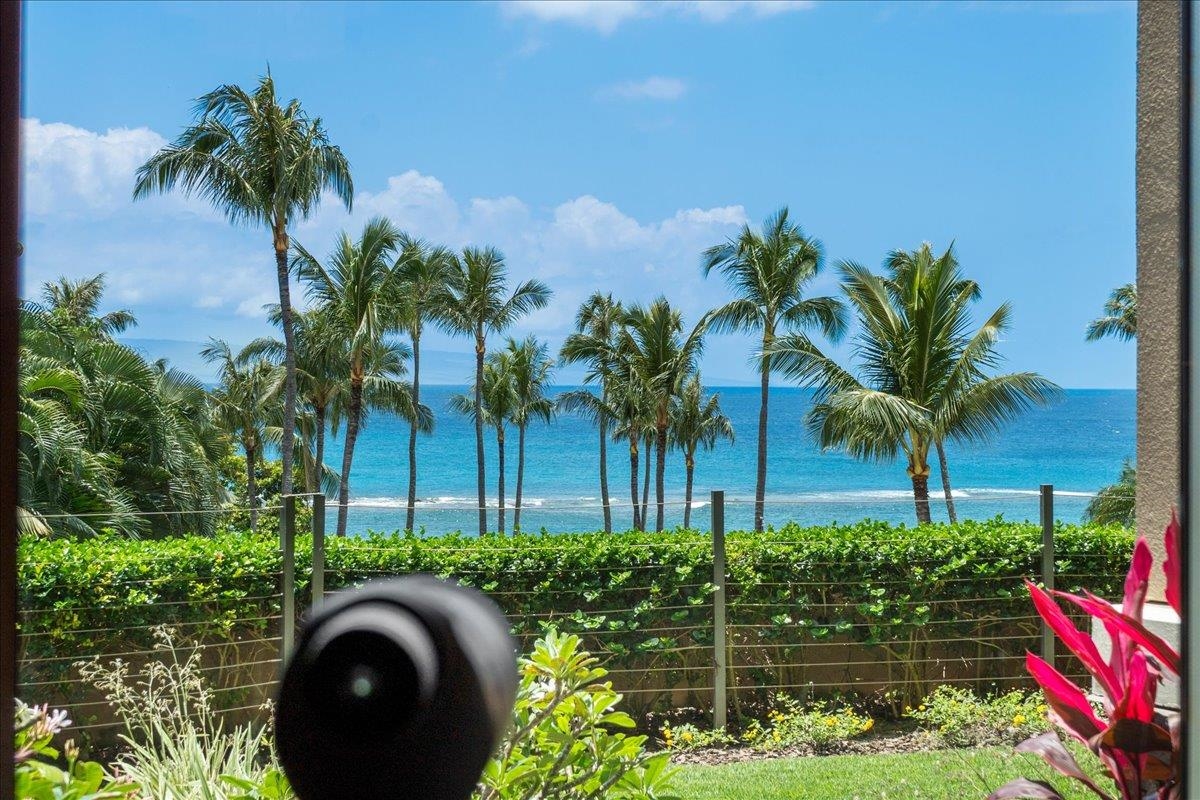 1 Bay Dr UNIT&nbsp;5102, Lahaina, HI, 96761