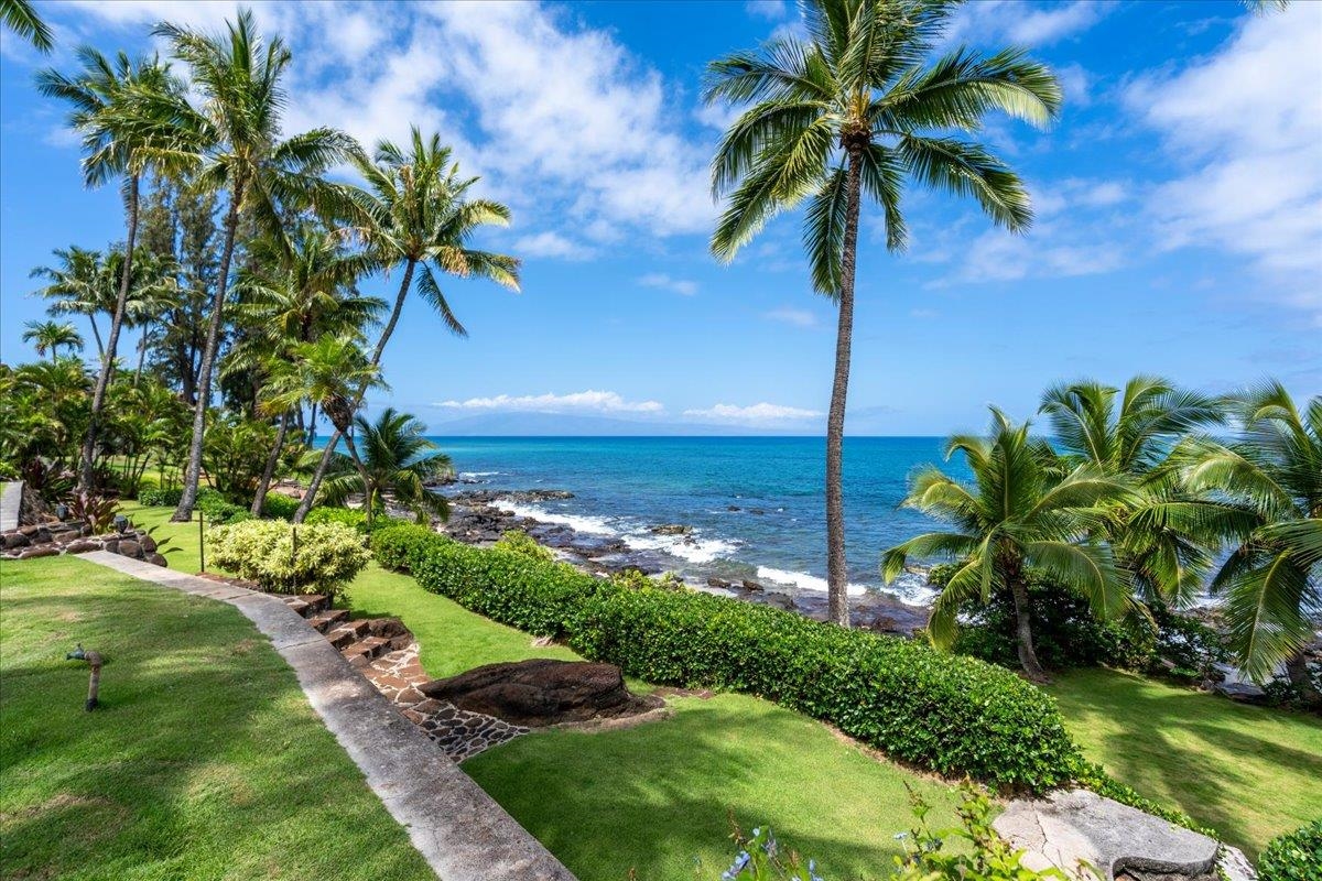 Maui Homes