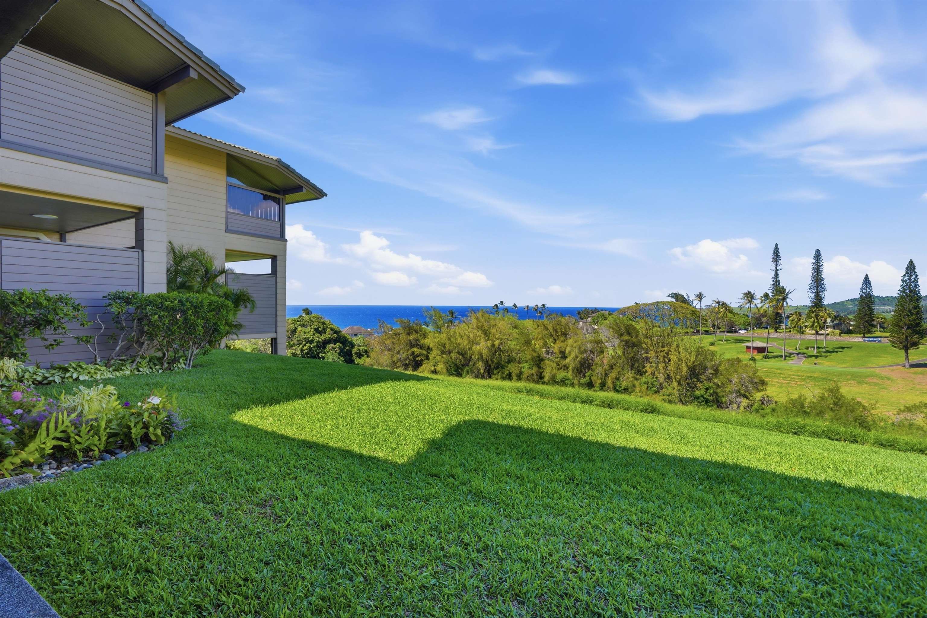 Kapalua Ridge — Kapalua Ridge, Kapalua — property photo 23 of 31