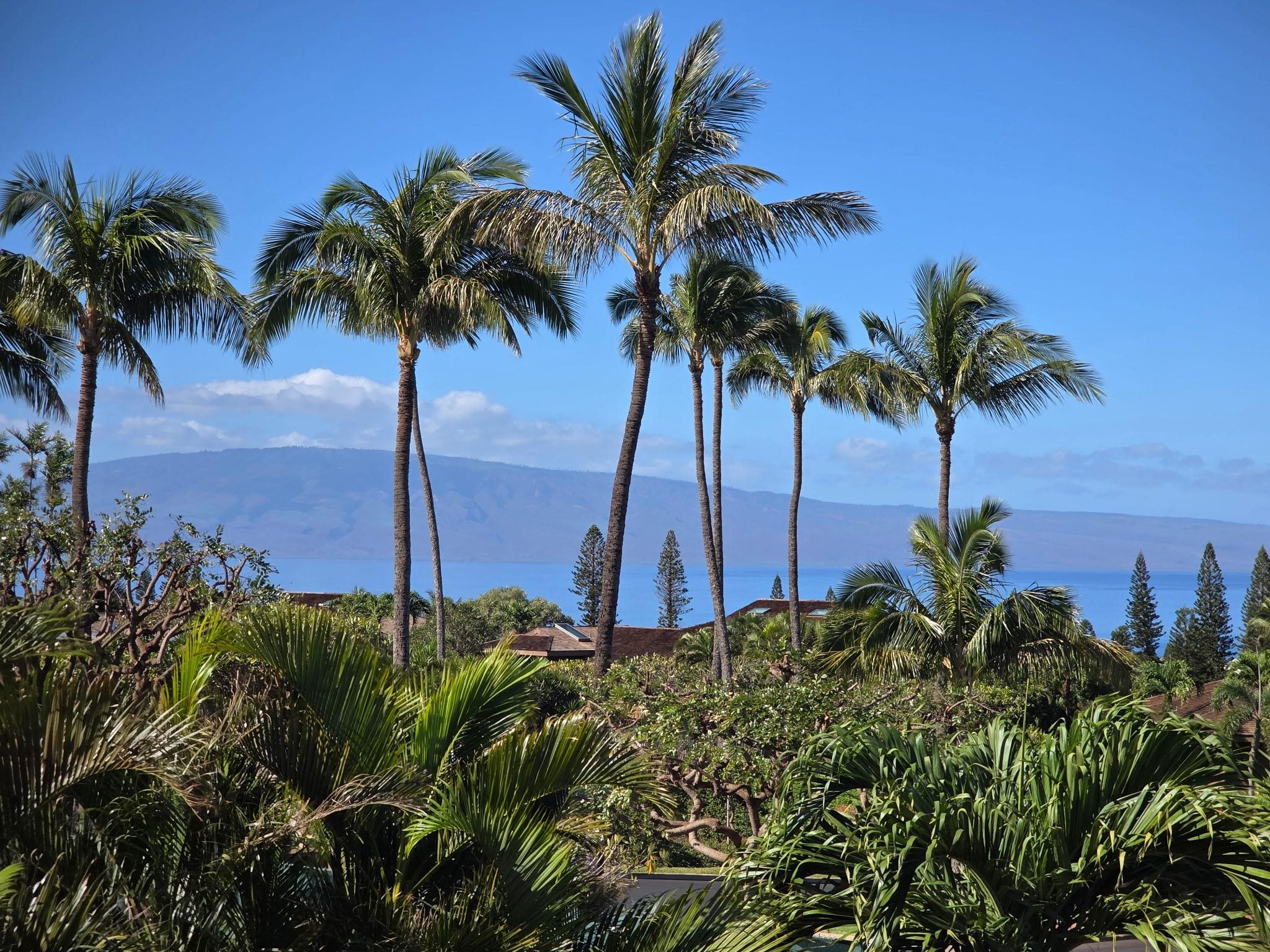 LAHAINA