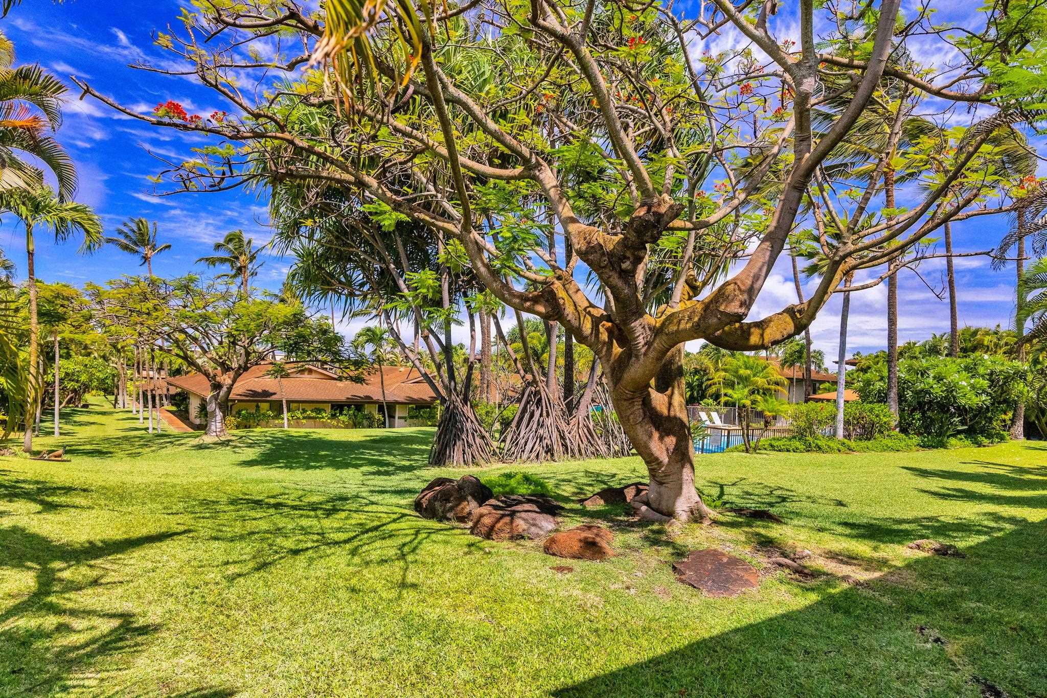 Hale Royale — Hale Royale, Napili/Kahana/Honokowai — property photo 29 of 35