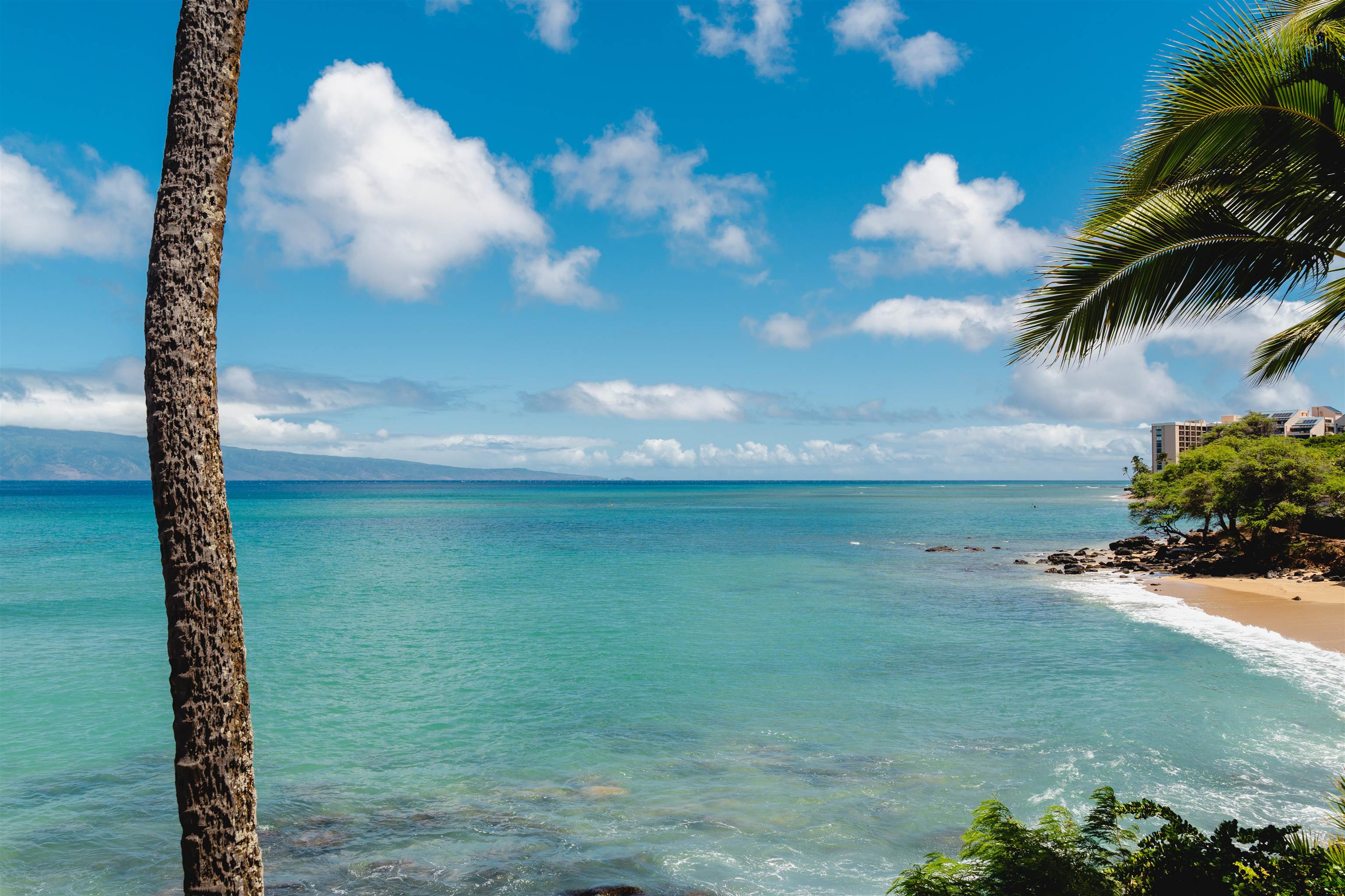 Noelani — Noelani, Napili/Kahana/Honokowai — property photo 23 of 24