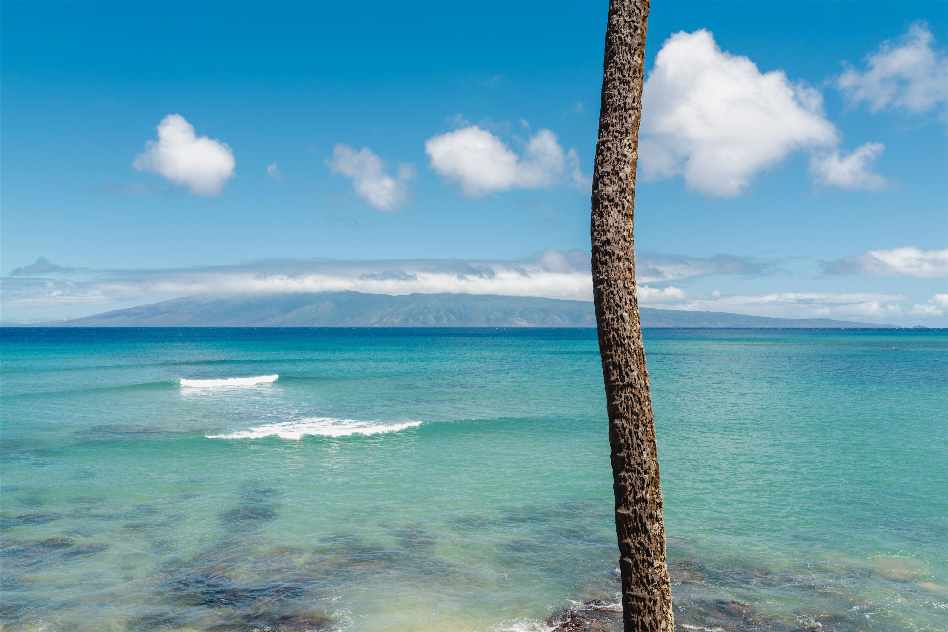 Noelani — Noelani, Napili/Kahana/Honokowai — property photo 24 of 24