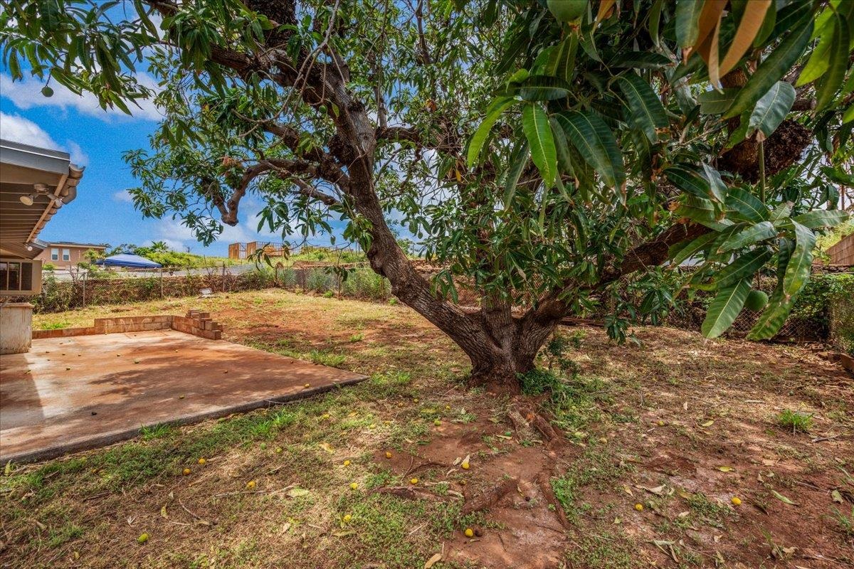 Wahikuli — Wahikuli, Lahaina — property photo 45 of 49