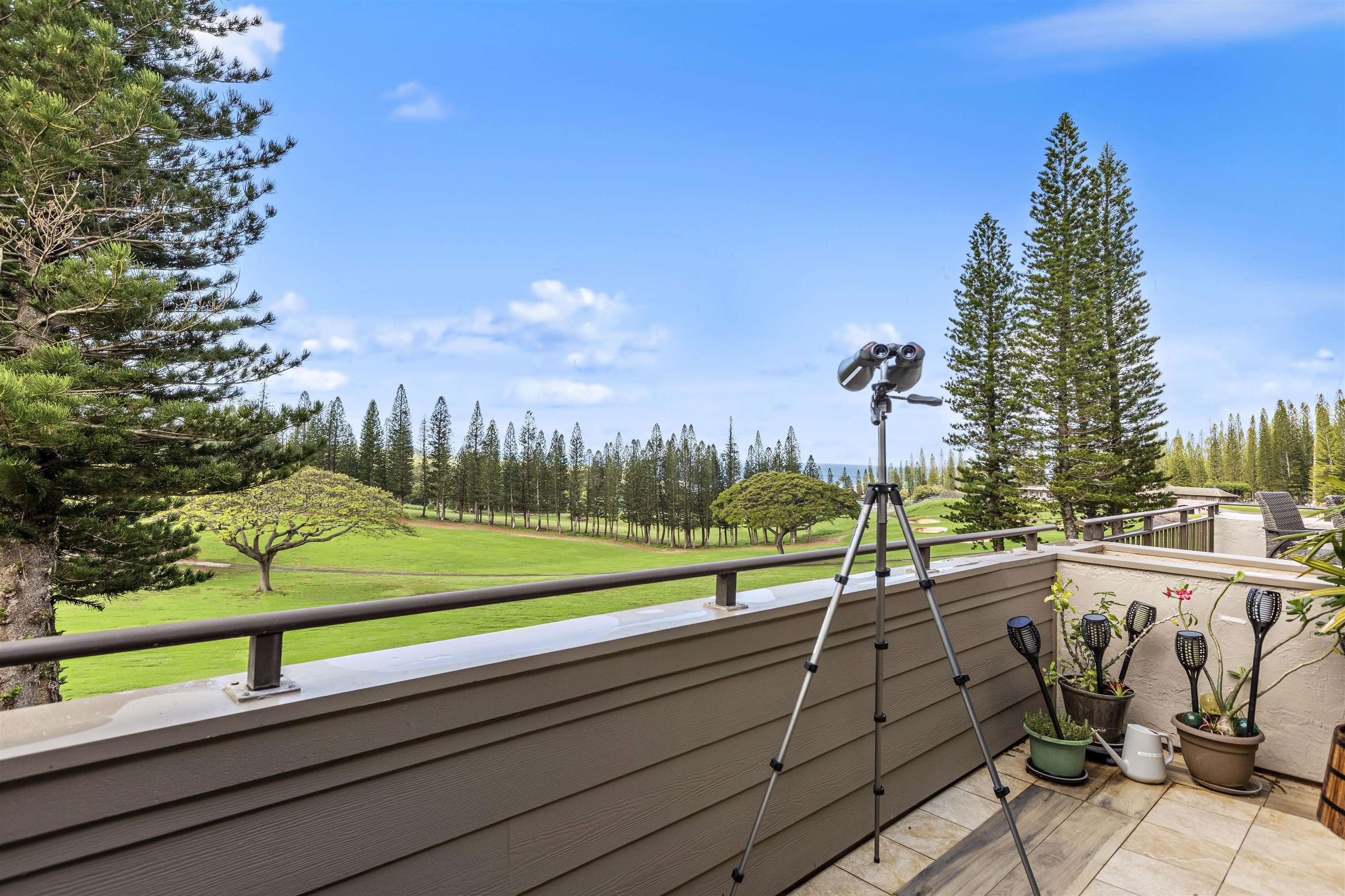 Kapalua Golf Villas — Kapalua Golf Villas, Kapalua — property photo 6 of 41