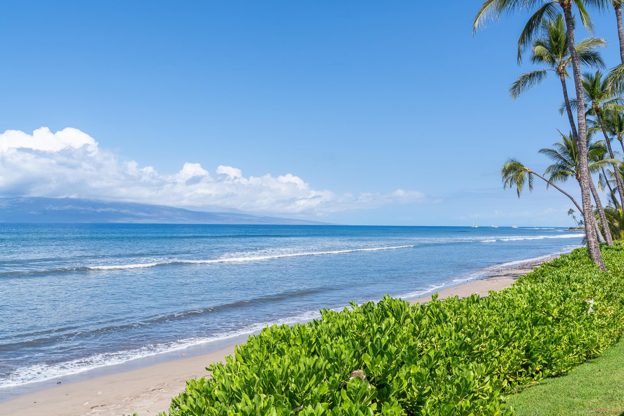 Puamana — Puamana, Lahaina — property photo 34 of 50