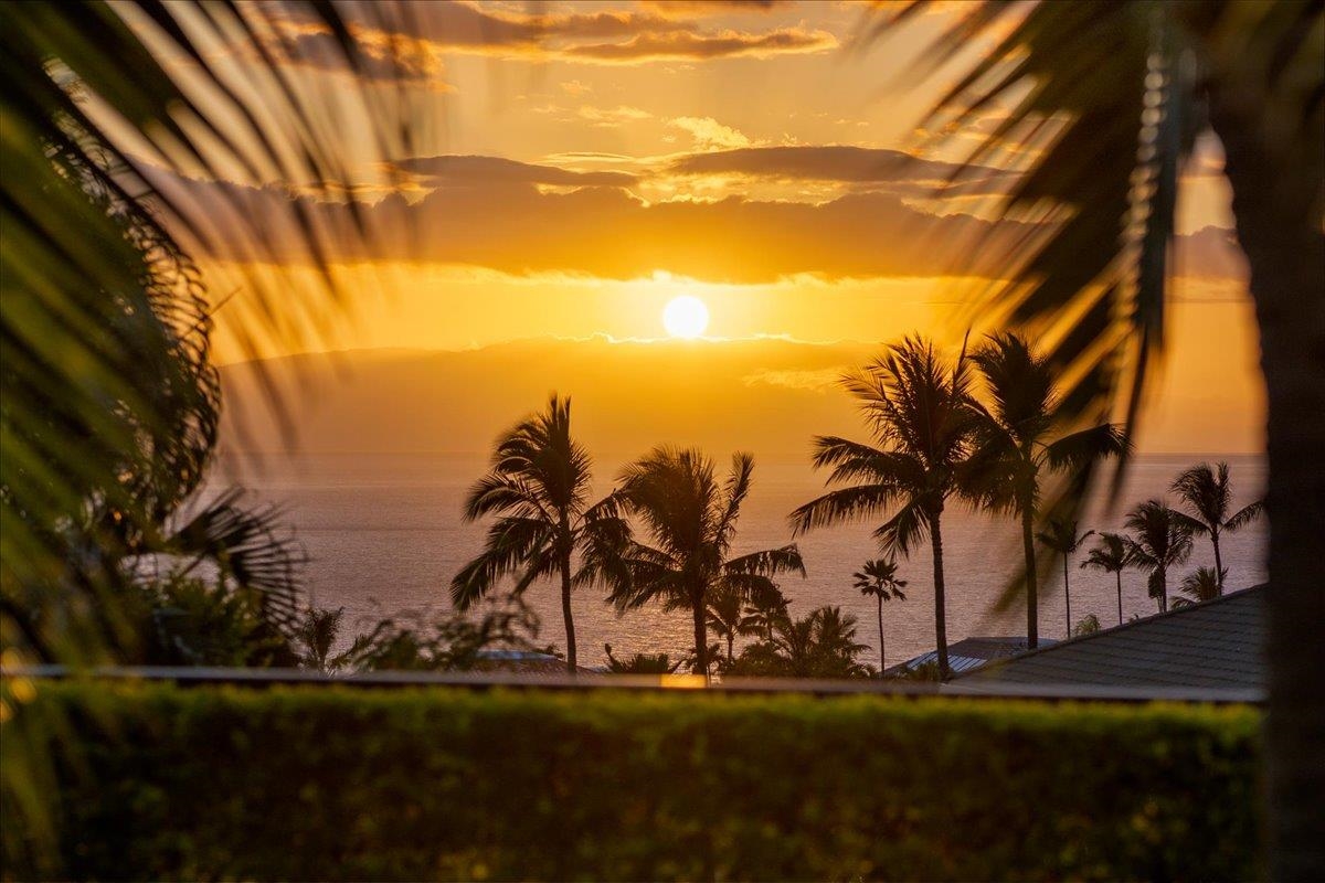 Maui Homes