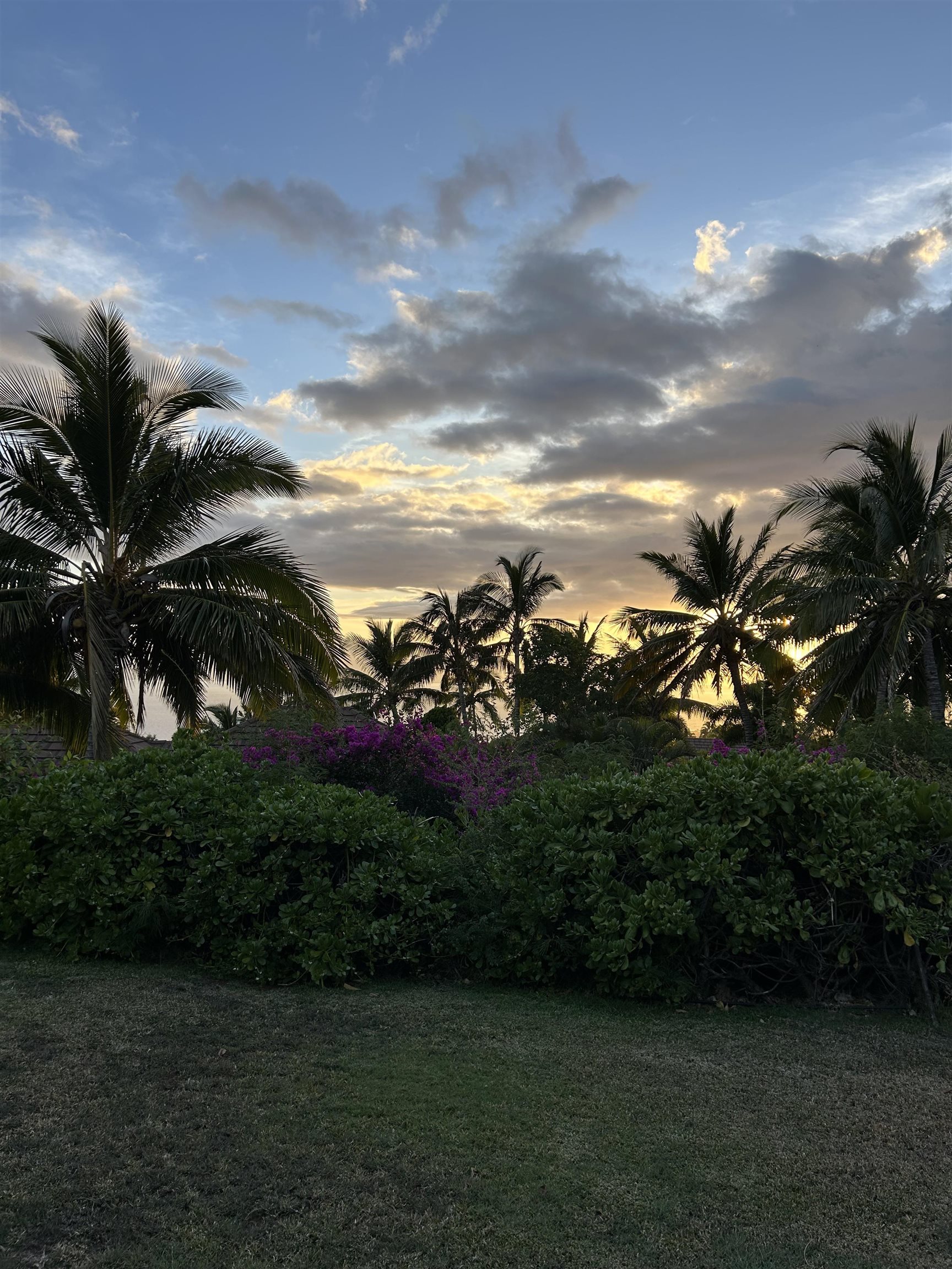 Mahanalua Nui Phase 4 — Mahanalua Nui Phase 4, Lahaina — property photo 24 of 24