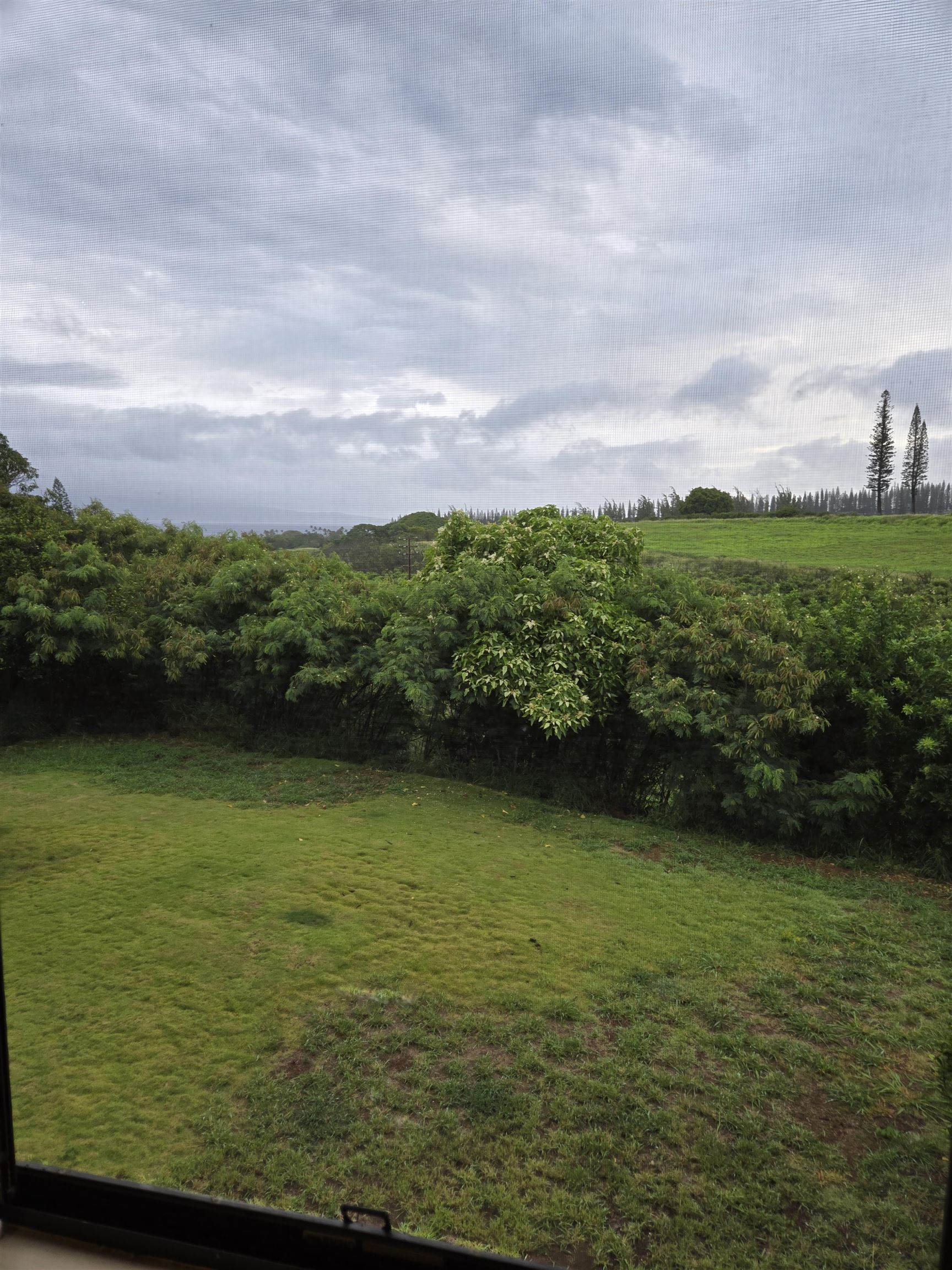 125 Pualu — Napili/Kahana/Honokowai, Napili/Kahana/Honokowai — property photo 13 of 14