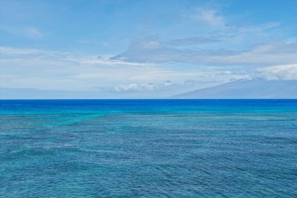 Kahana Reef — Kahana Reef, Napili/Kahana/Honokowai — property photo 34 of 41