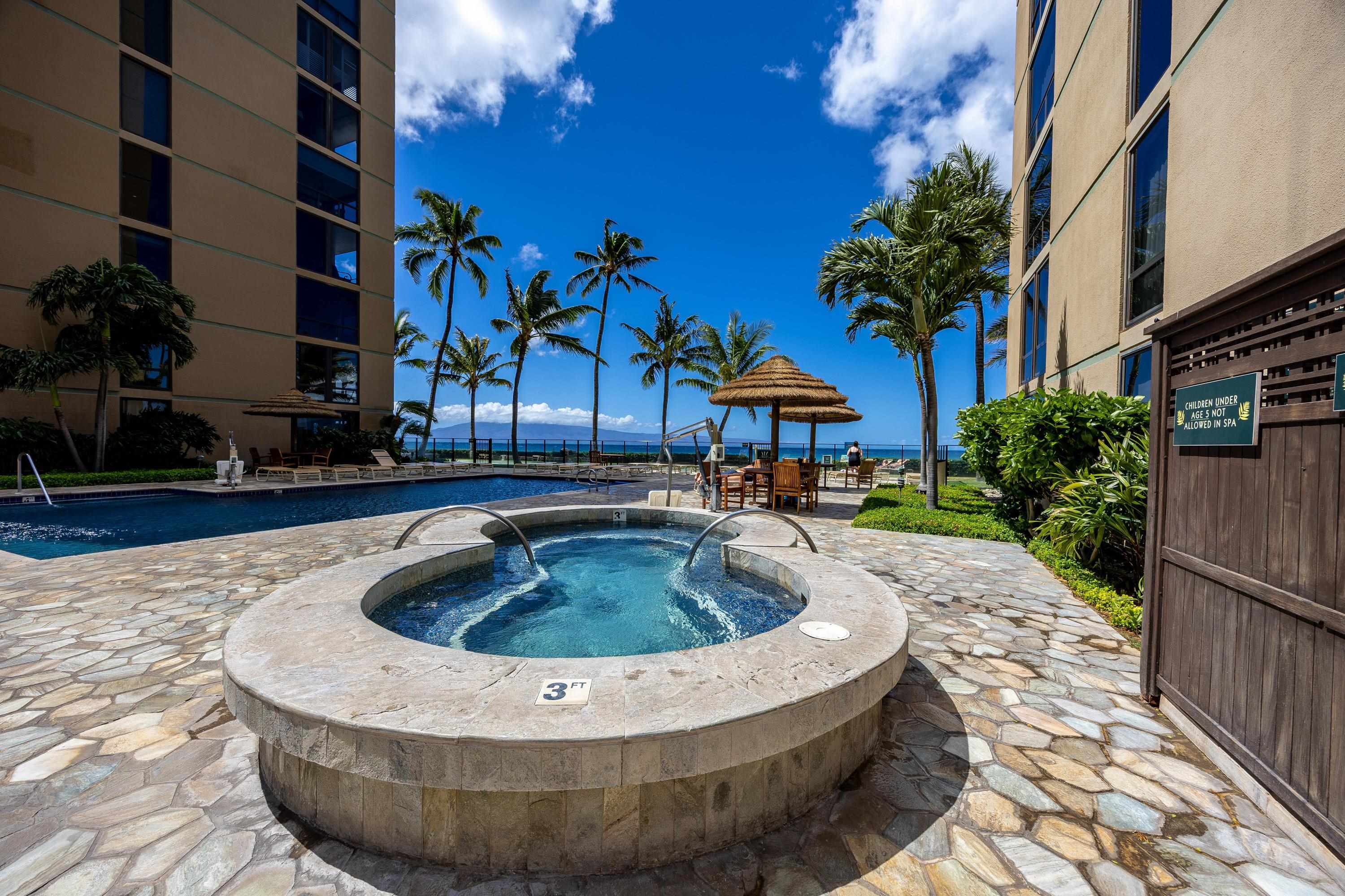Mahana — Mahana, Kaanapali — property photo 48 of 50