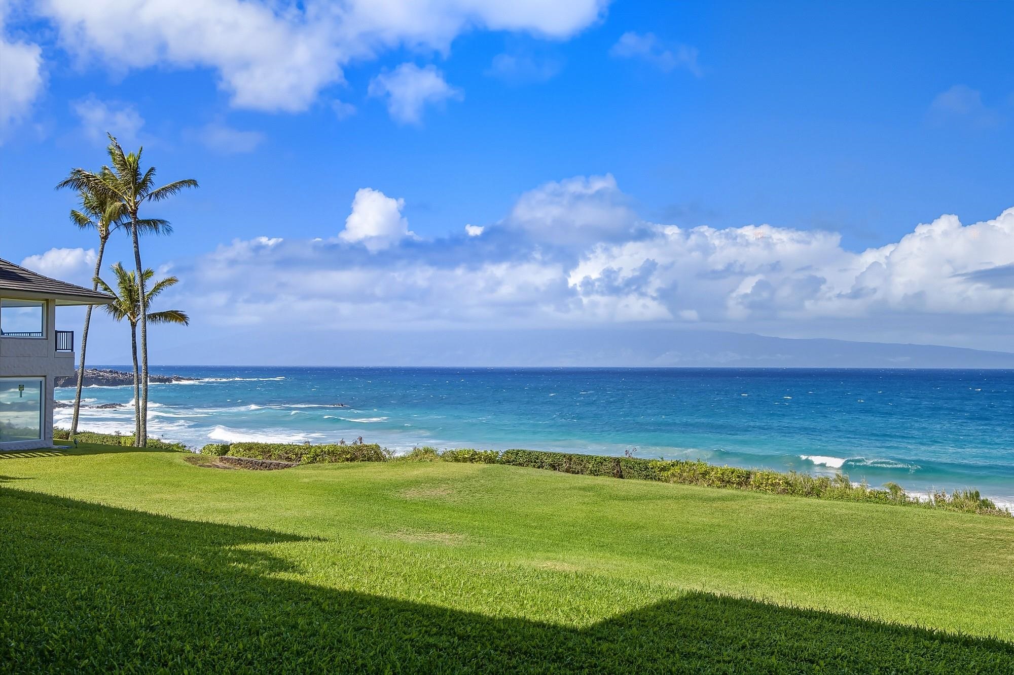 Kapalua Ironwoods — Kapalua Ironwoods, Kapalua — property photo 32 of 50