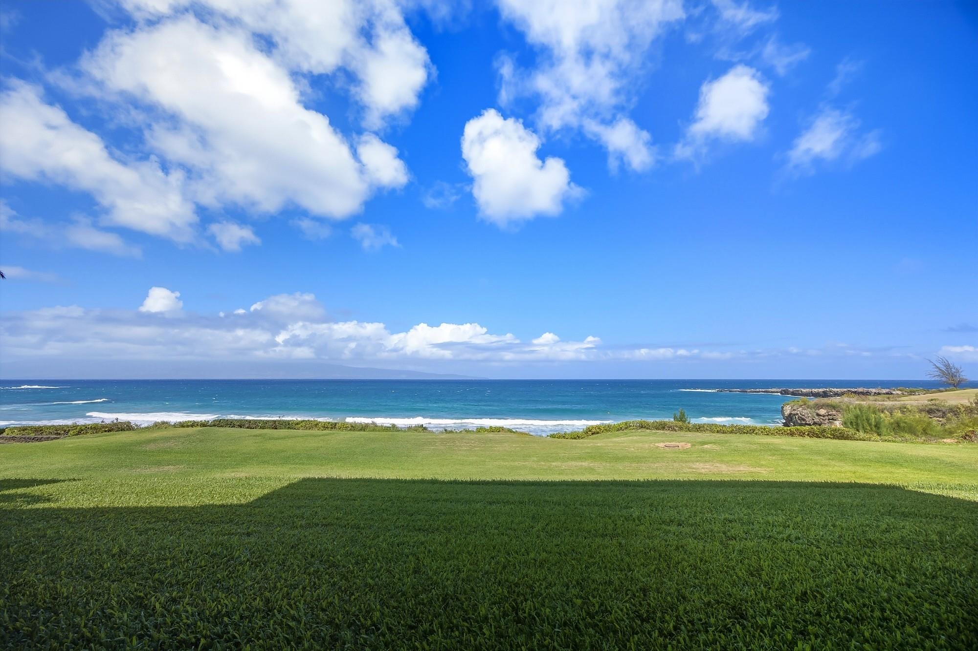 Kapalua Ironwoods — Kapalua Ironwoods, Kapalua — property photo 41 of 50