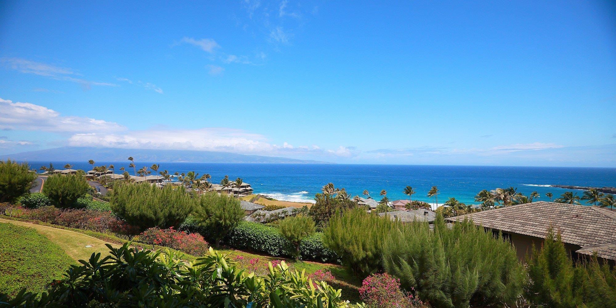Kapalua Ridge — Kapalua Ridge, Kapalua — property photo 12 of 50