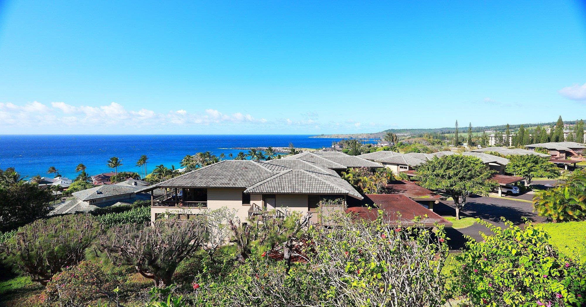 Kapalua Ridge — Kapalua Ridge, Kapalua — property photo 27 of 50