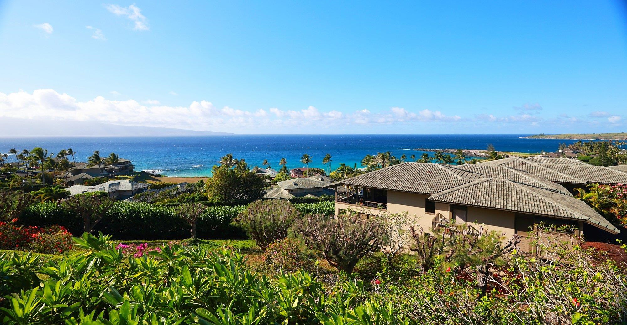 Kapalua Ridge — Kapalua Ridge, Kapalua — property photo 35 of 50