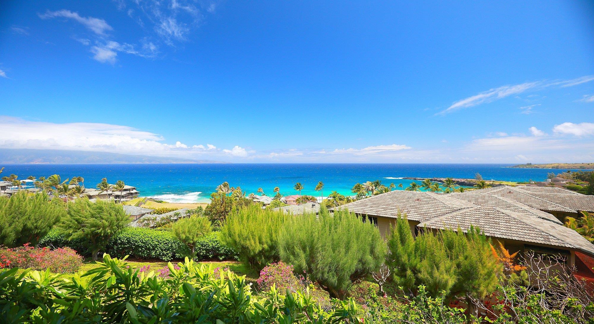 Kapalua Ridge — Kapalua Ridge, Kapalua — property photo 50 of 50