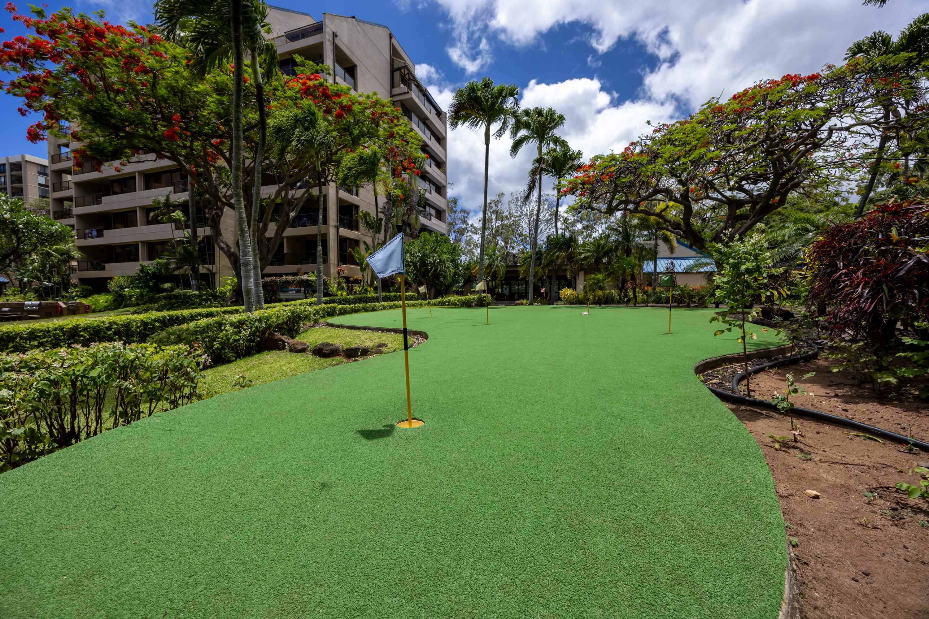 Sands of Kahana — Sands of Kahana, Napili/Kahana/Honokowai — property photo 49 of 50