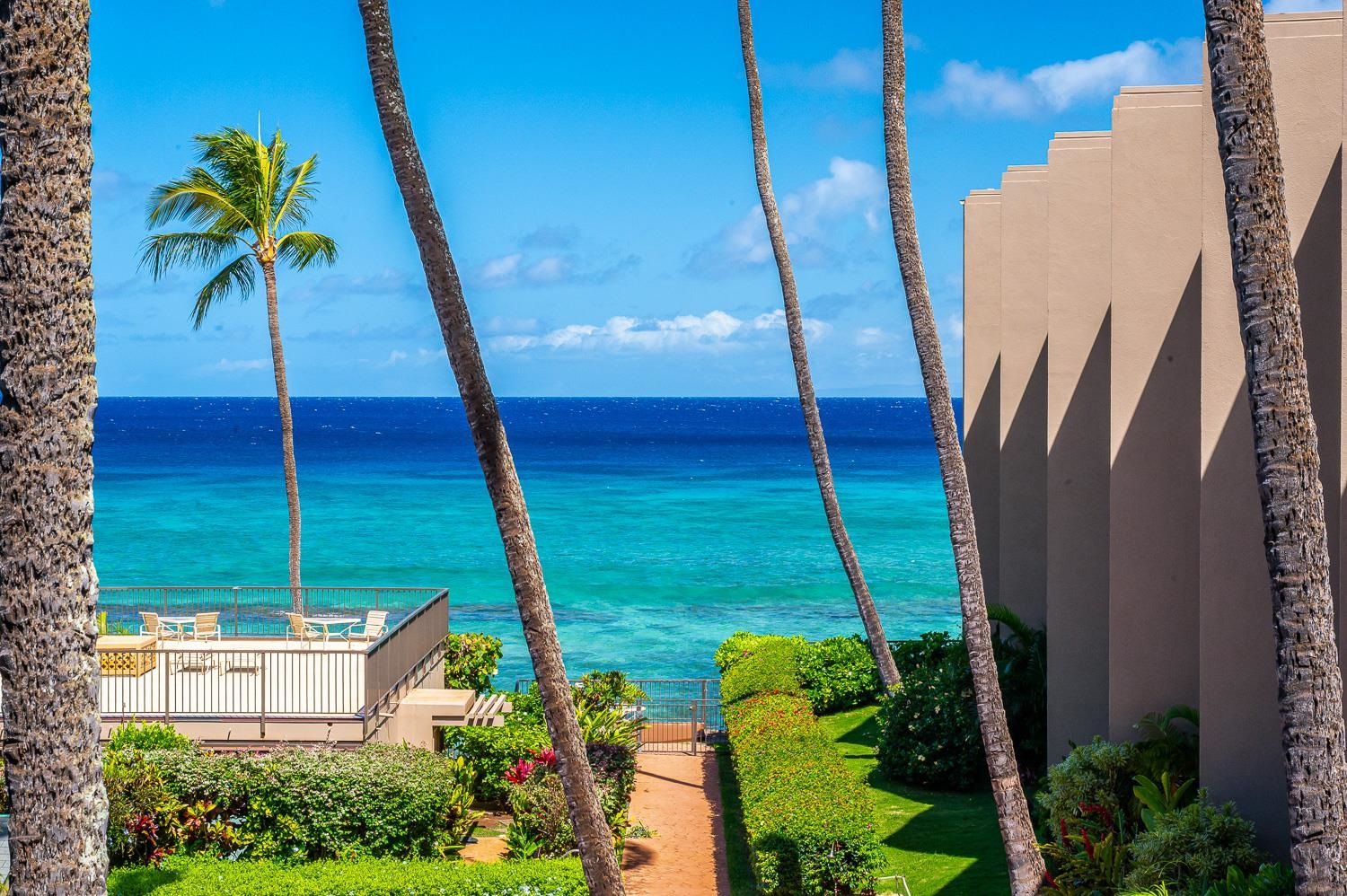 Hale Ono Loa — Hale Ono Loa, Napili/Kahana/Honokowai — property photo 5 of 50