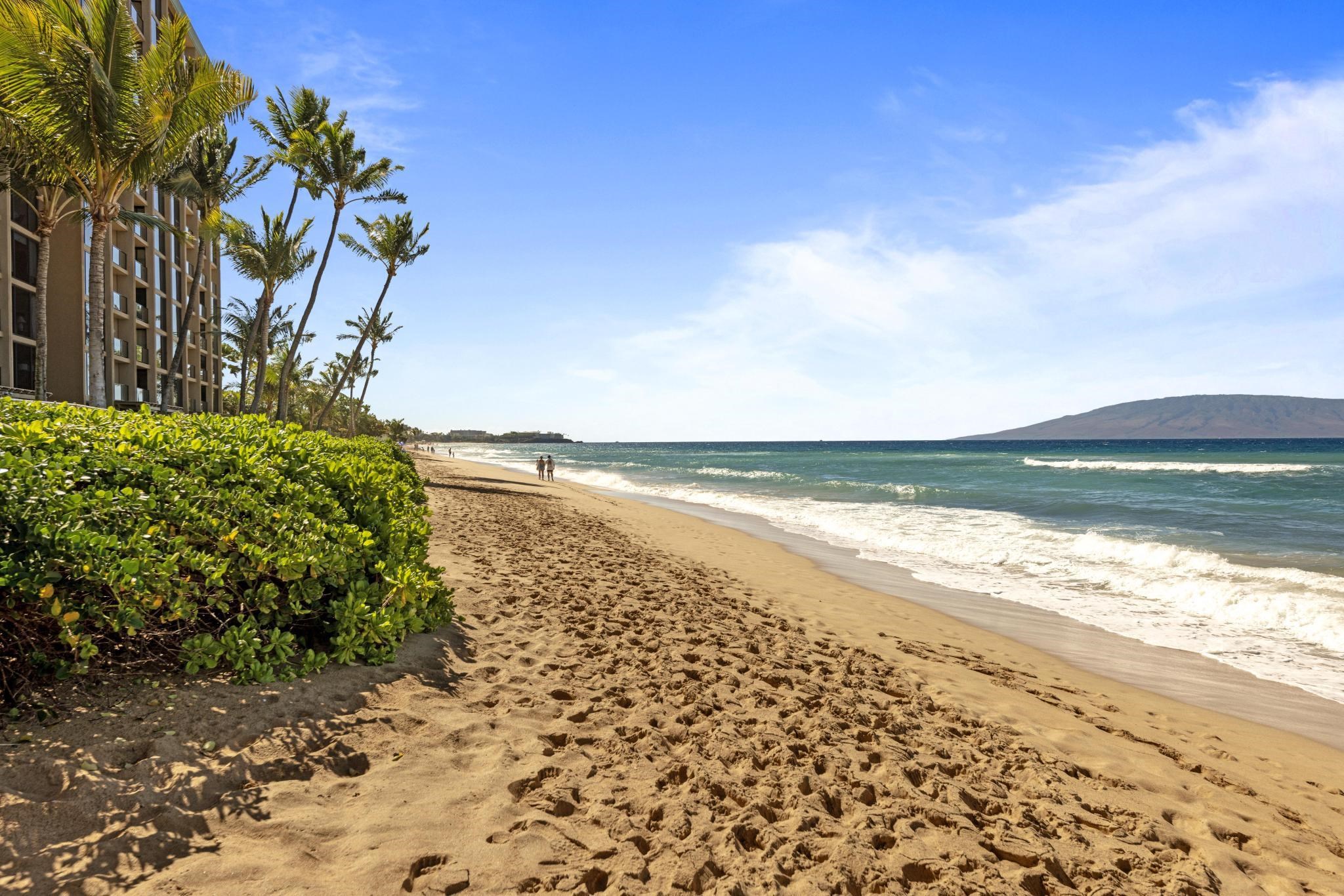 Mahana — Mahana, Kaanapali — property photo 46 of 50
