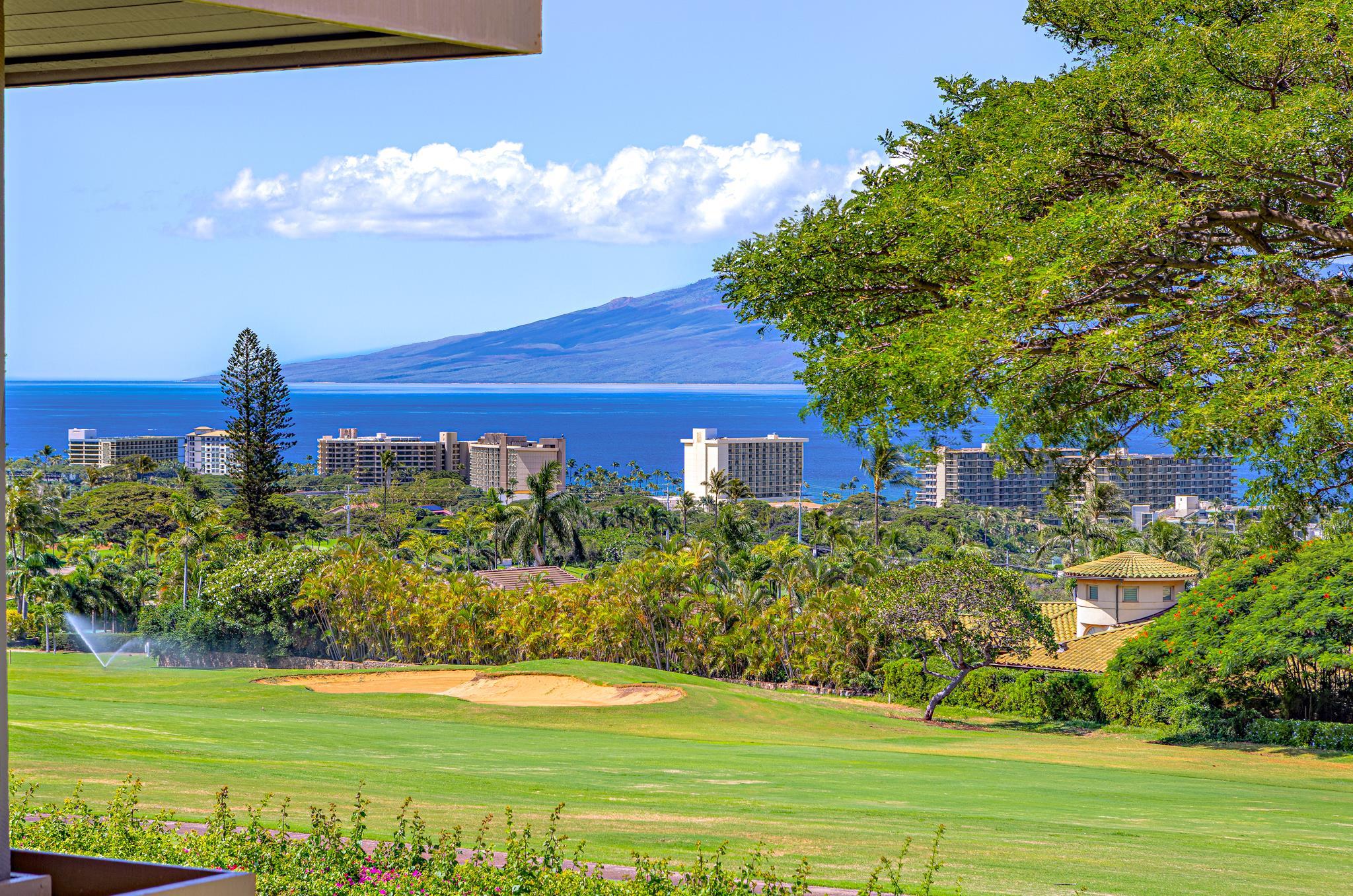 Masters — Masters, Kaanapali — property photo 7 of 48