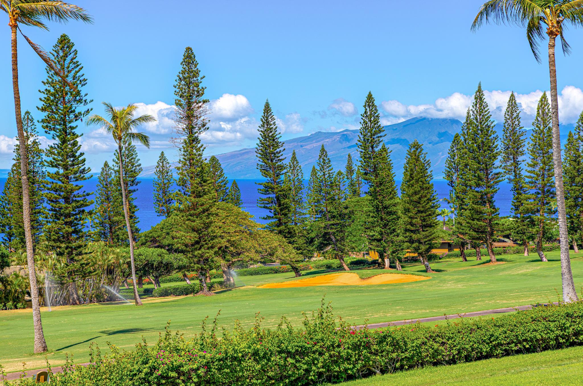 Masters — Masters, Kaanapali — property photo 8 of 48