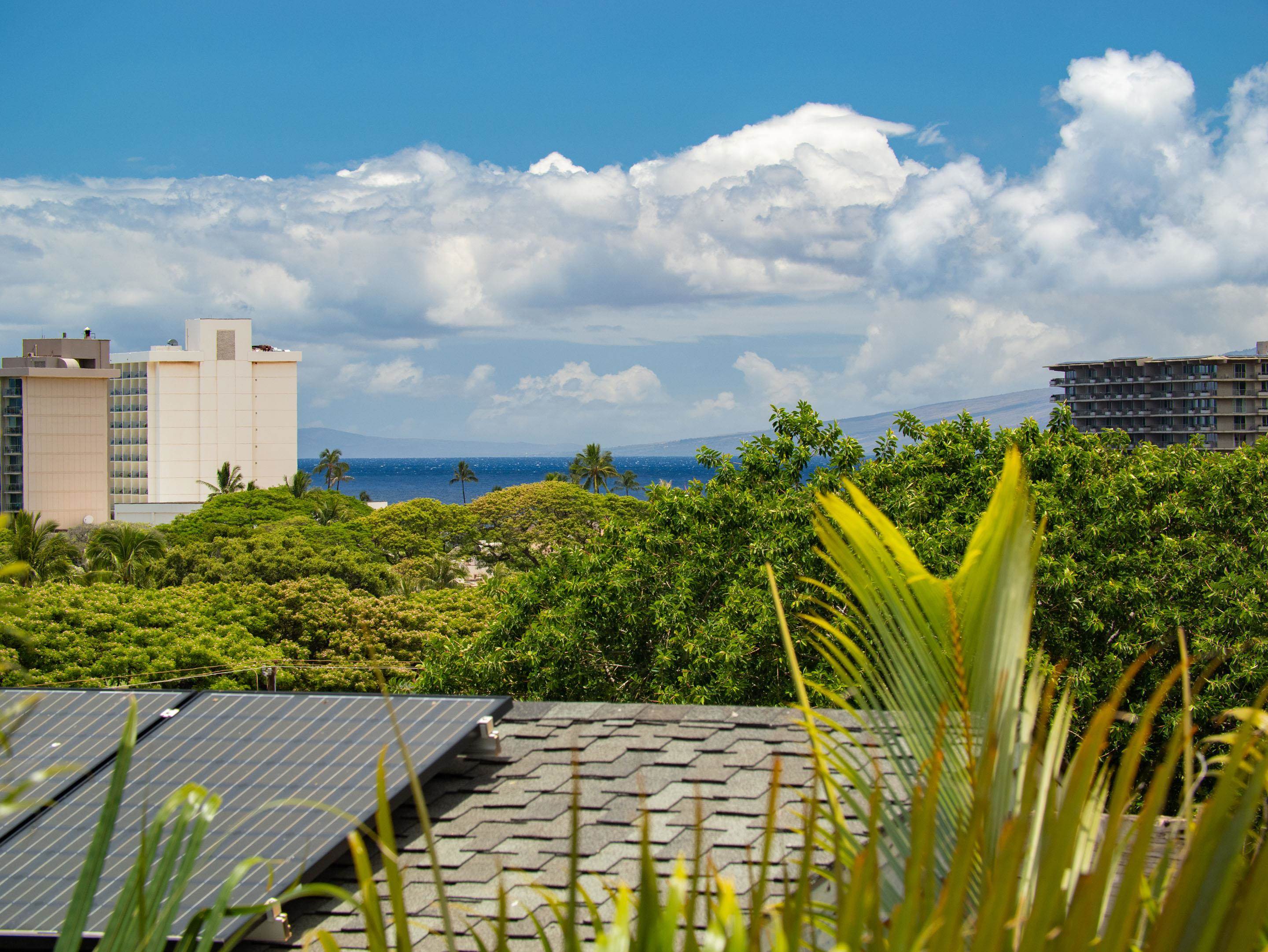 Kaanapali Vista — Kaanapali Vista, Kaanapali — property photo 26 of 50