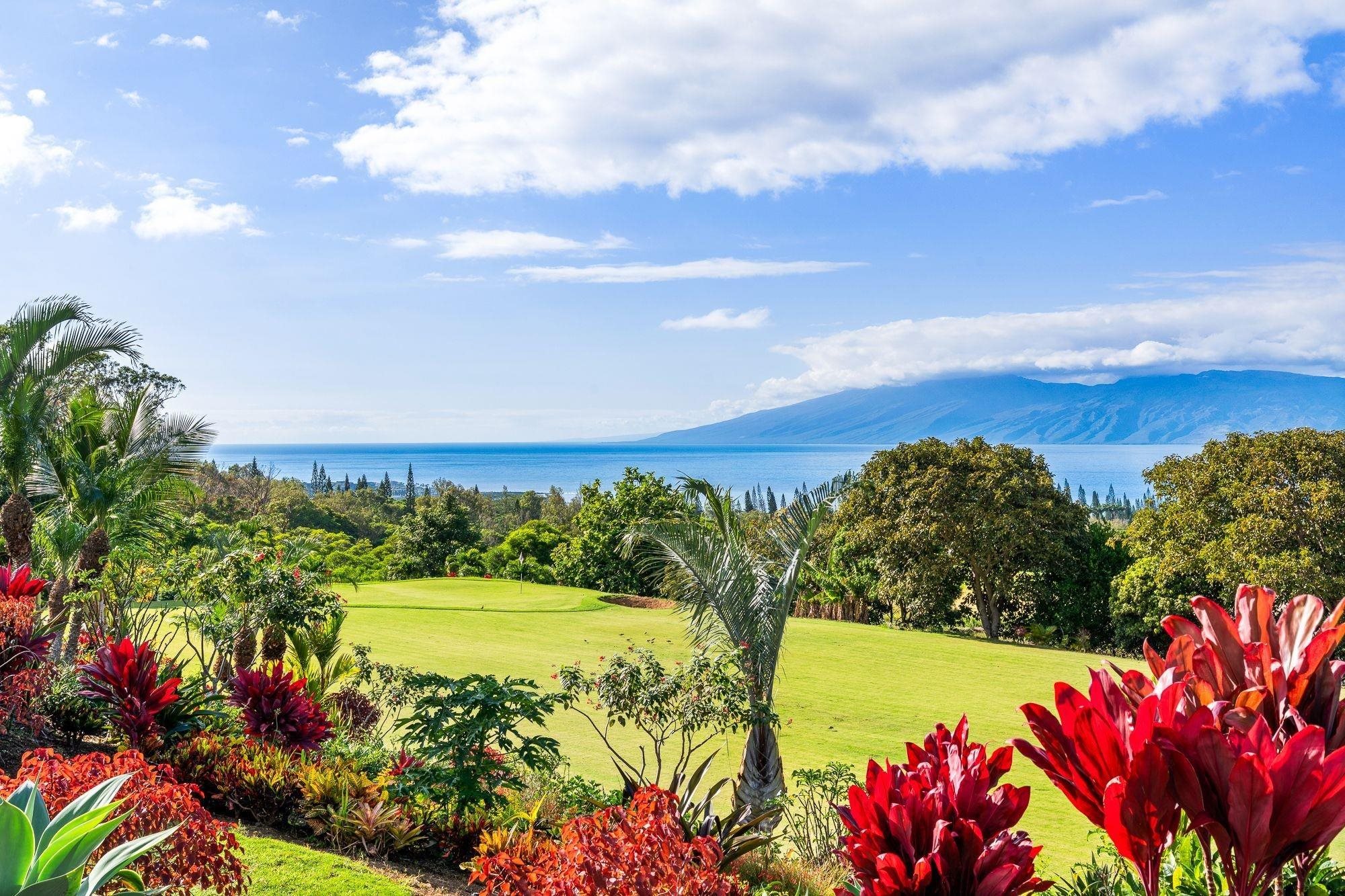 Honolua Ridge Phase 1 — Honolua Ridge Phase 1, Kapalua — property photo 22 of 50
