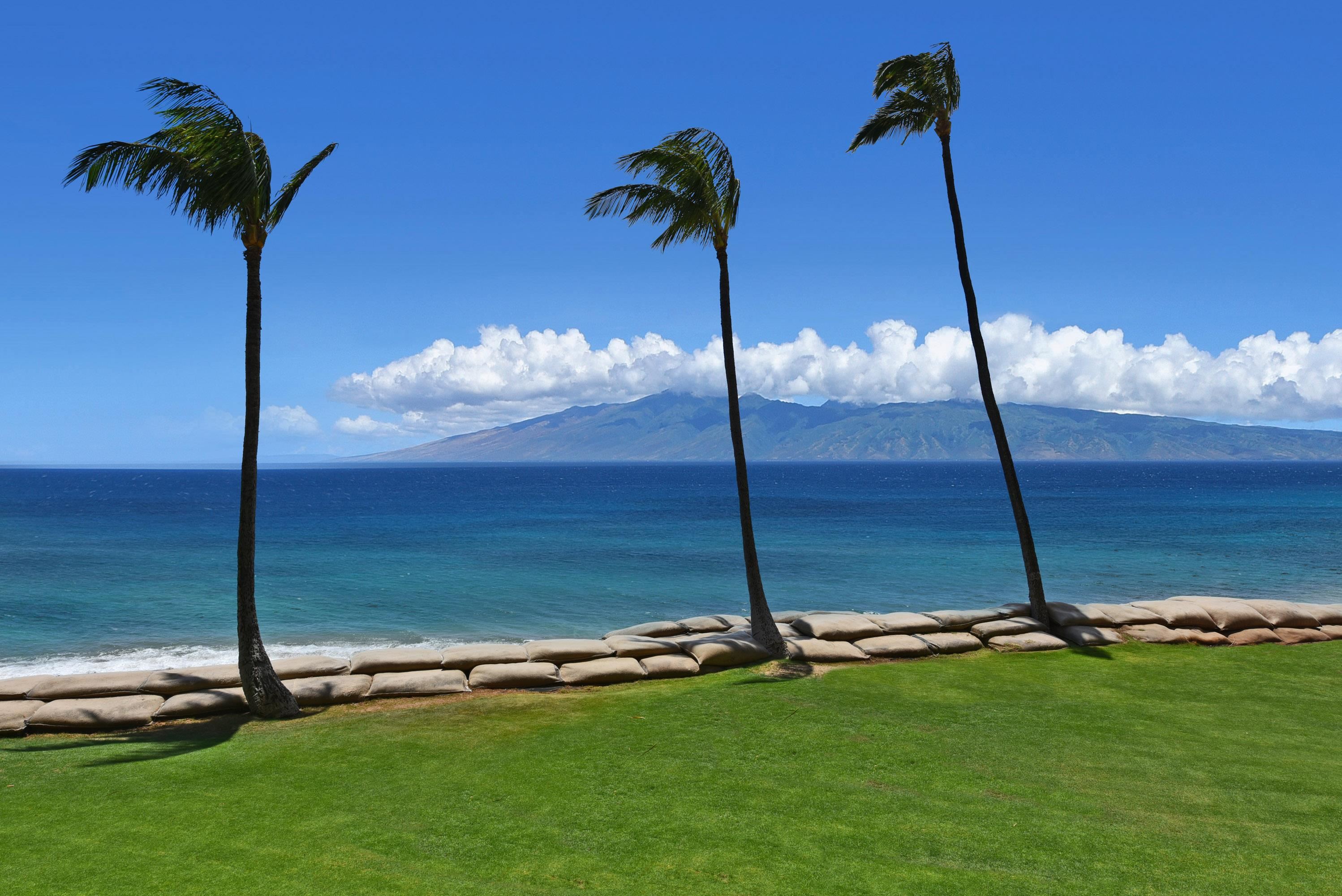 Valley Isle Resort — Valley Isle Resort, Napili/Kahana/Honokowai — property photo 26 of 45