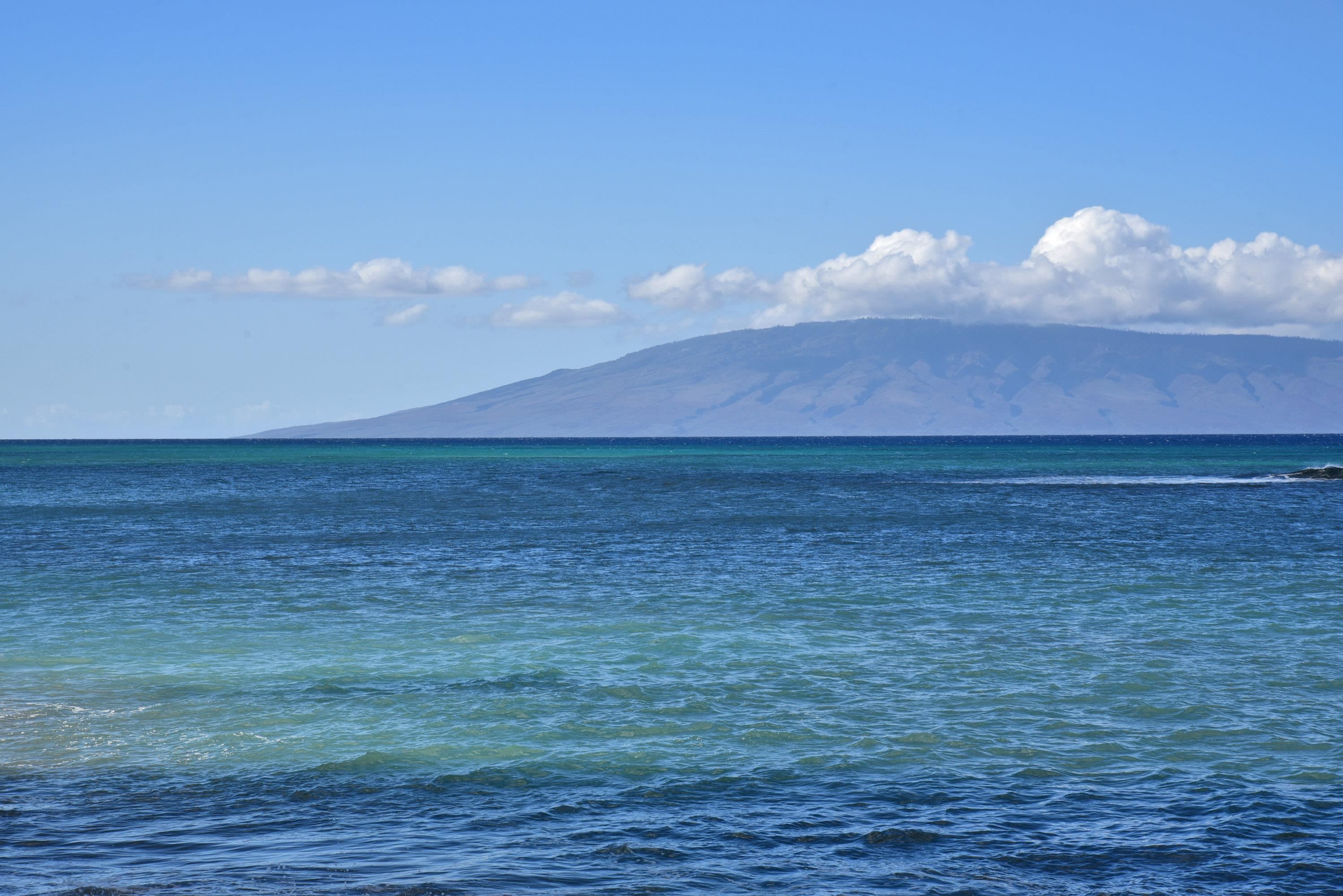 Valley Isle Resort — Valley Isle Resort, Napili/Kahana/Honokowai — property photo 31 of 45