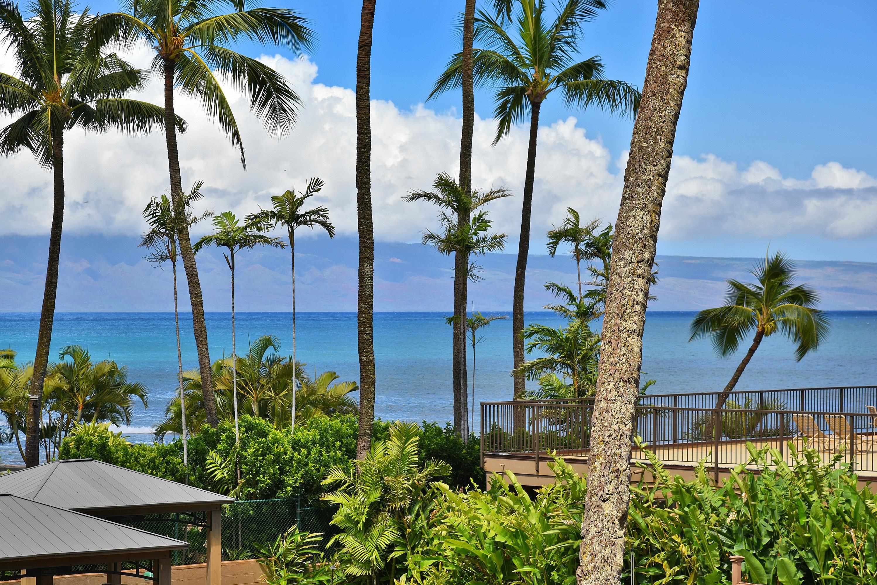 Hale Ono Loa — Hale Ono Loa, Napili/Kahana/Honokowai — property photo 44 of 50