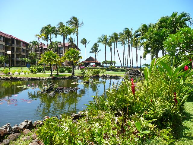 Papakea Resort — Papakea Resort, Napili/Kahana/Honokowai — property photo 13 of 19