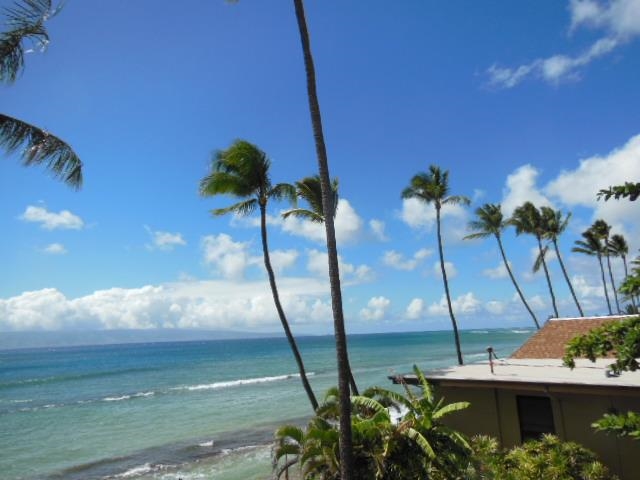 Papakea Resort — Papakea Resort, Napili/Kahana/Honokowai — property photo 15 of 19