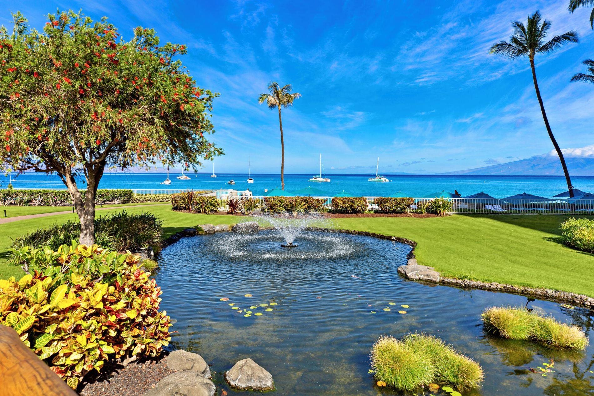 Whaler I — Whaler I, Kaanapali — property photo 18 of 28