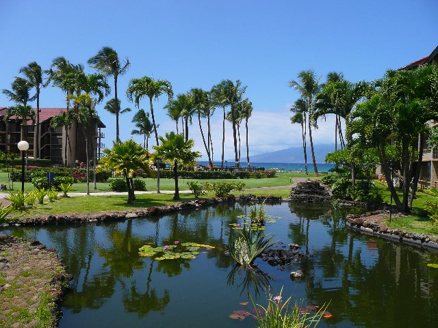 Papakea Resort — Papakea Resort, Napili/Kahana/Honokowai — property photo 12 of 19