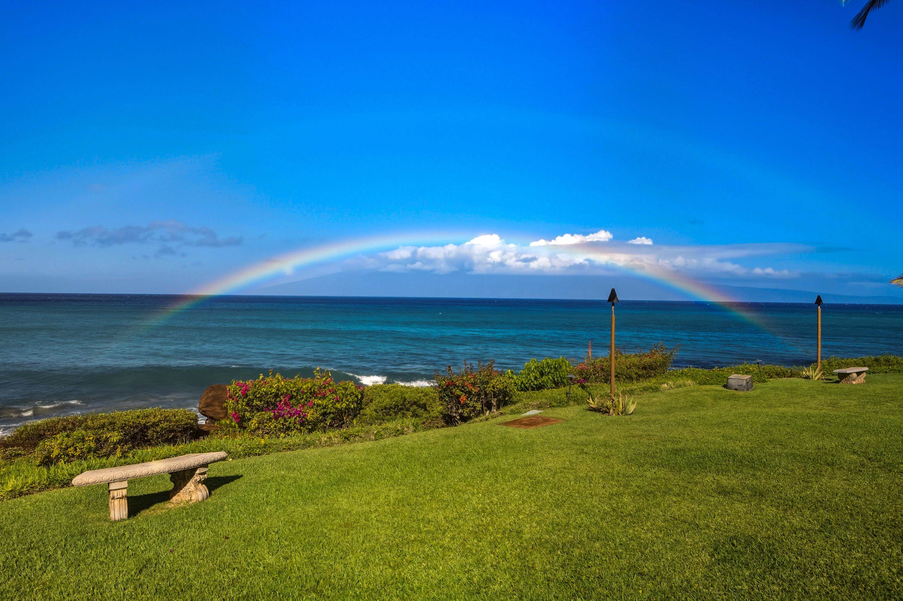 Polynesian Shores — Polynesian Shores, Napili/Kahana/Honokowai — property photo 28 of 31