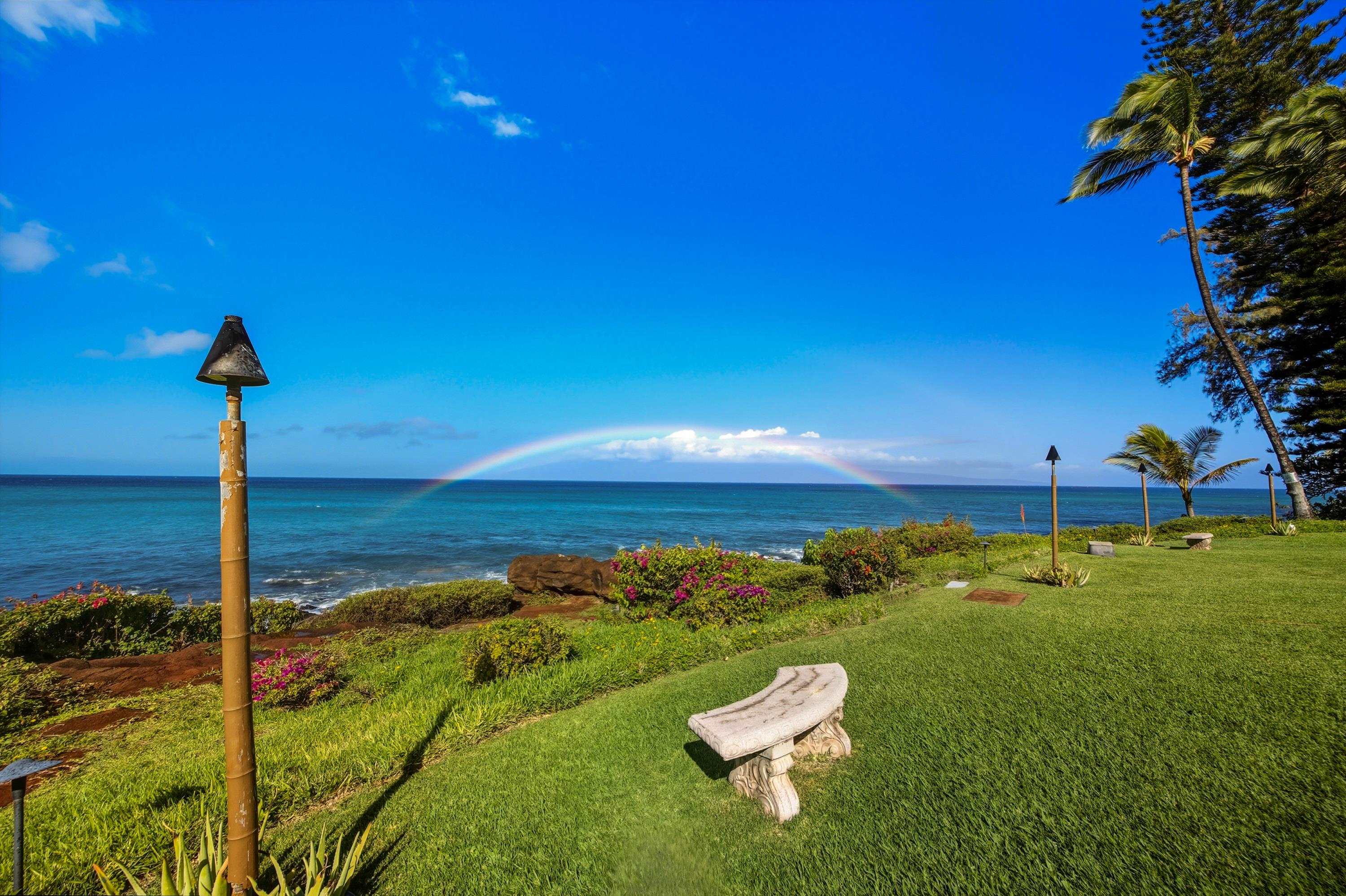 Polynesian Shores — Polynesian Shores, Napili/Kahana/Honokowai — property photo 29 of 31