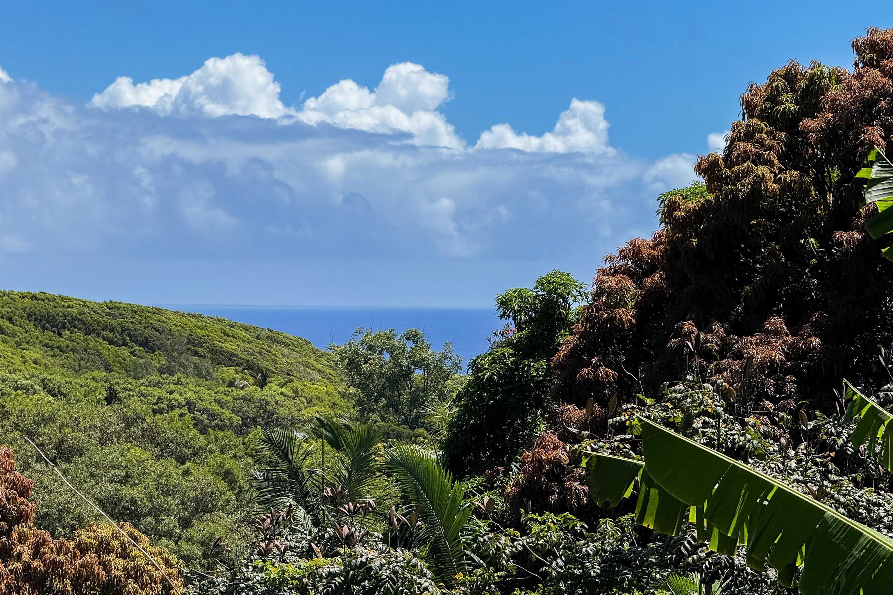 420 Haumana Rd thumbnail 5