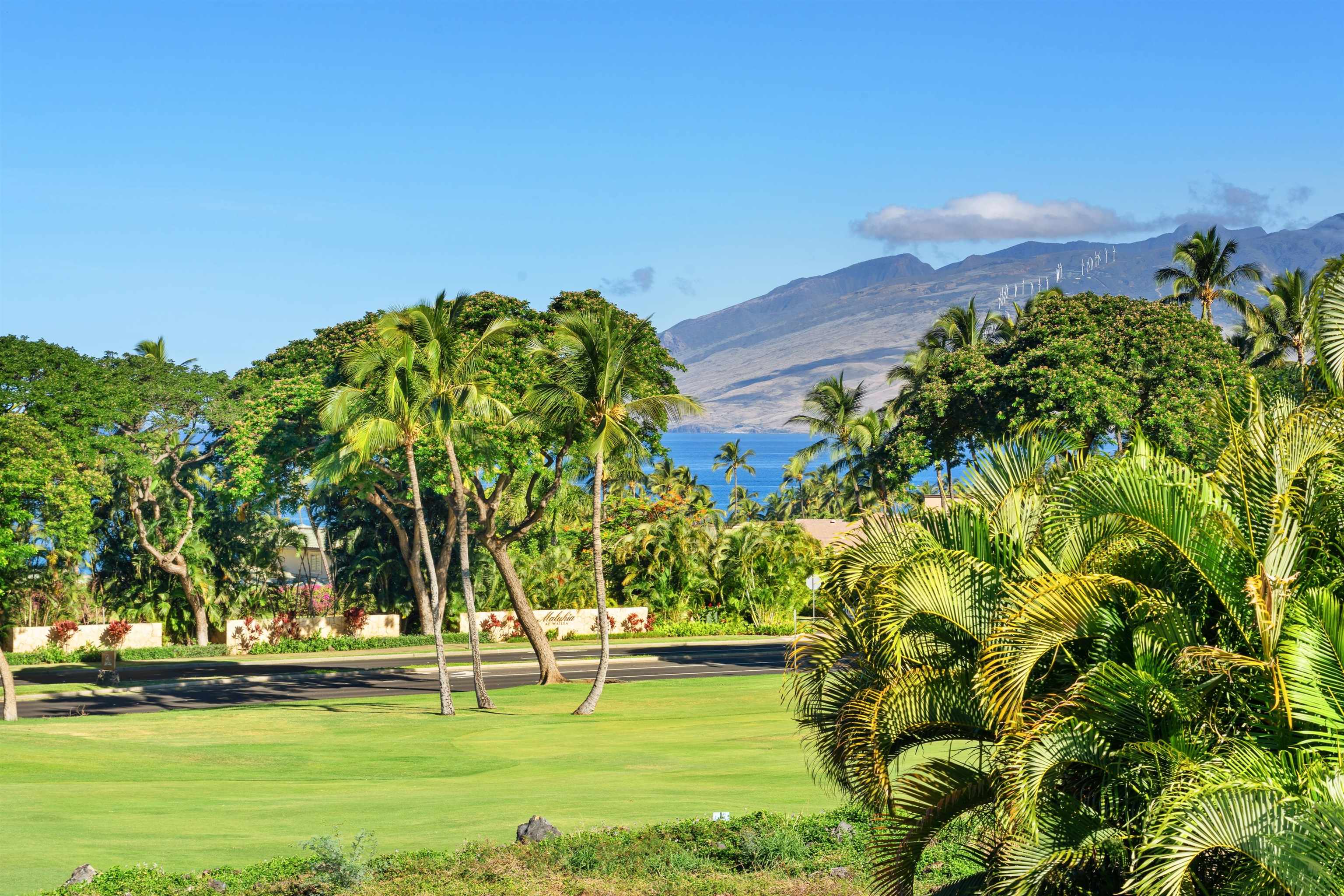 85 Hale Alii Pl thumbnail 4