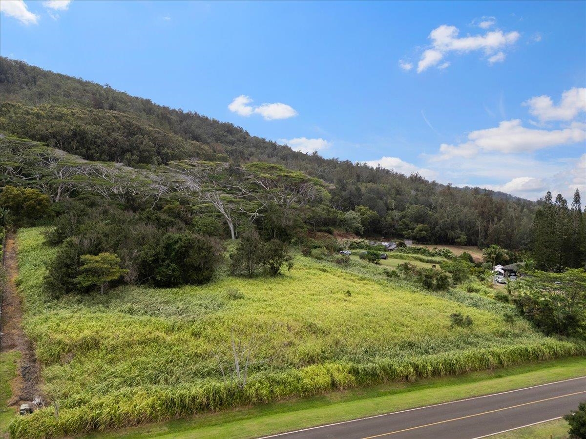 2584 Kamaile St thumbnail 2