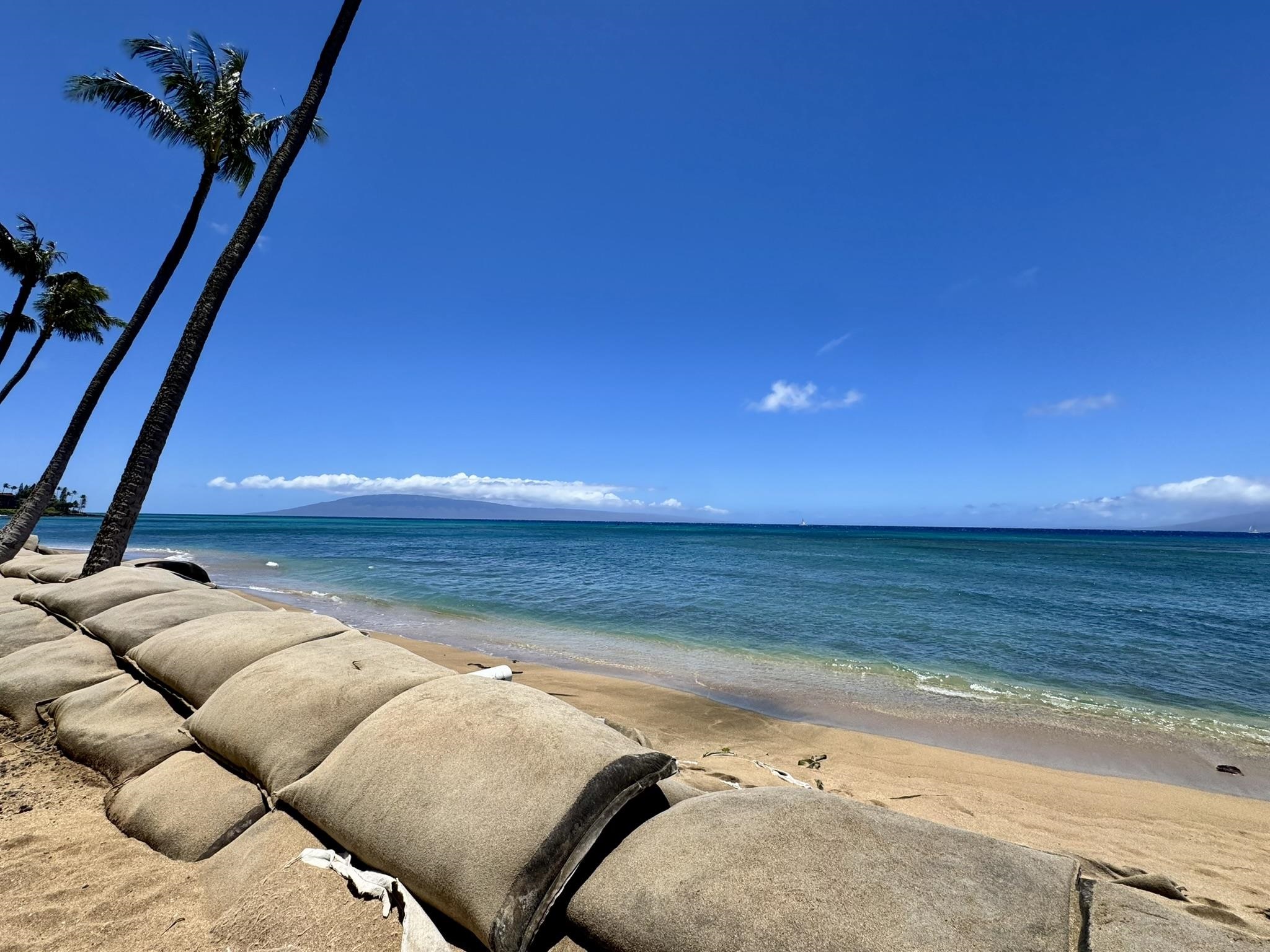 Royal Kahana — Royal Kahana, Napili/Kahana/Honokowai — property photo 32 of 44